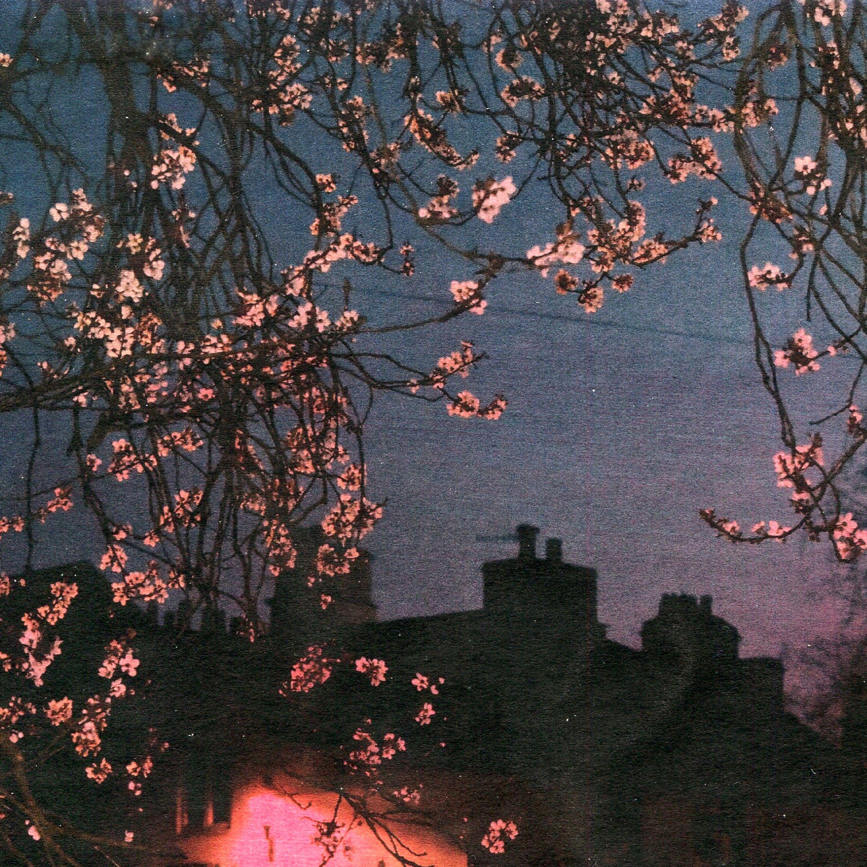Релиз through the branches of trees
