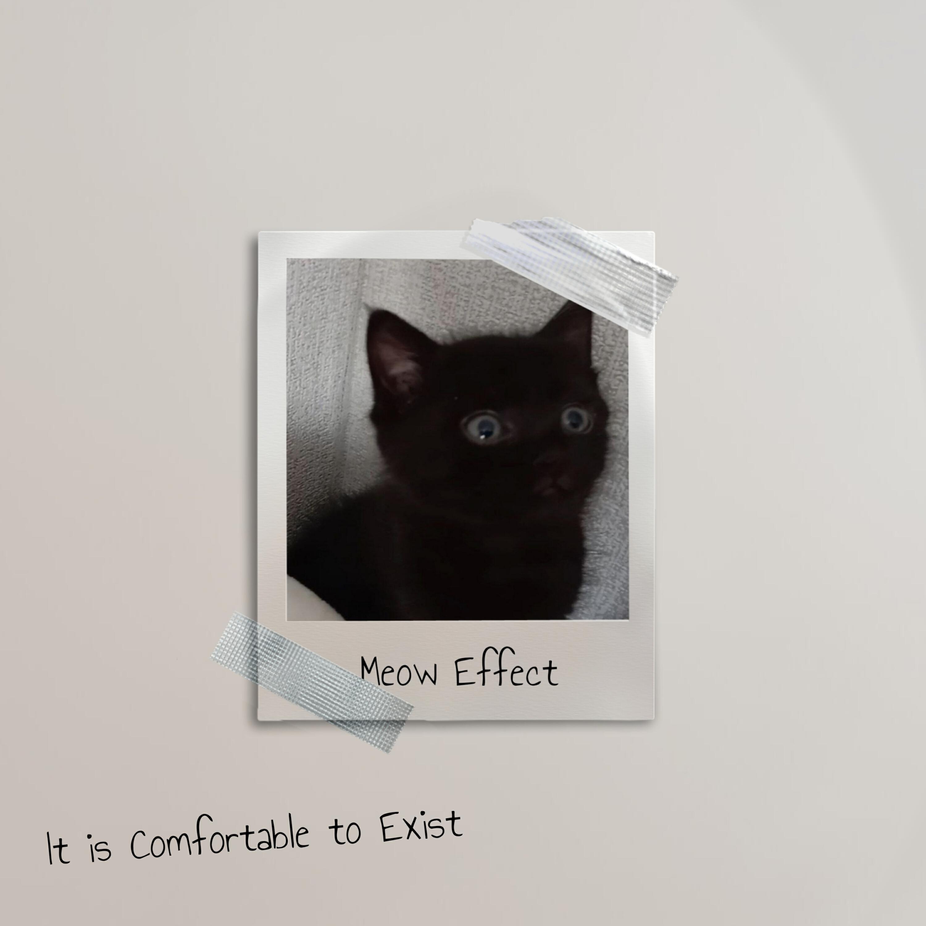 Релиз Meow Effect