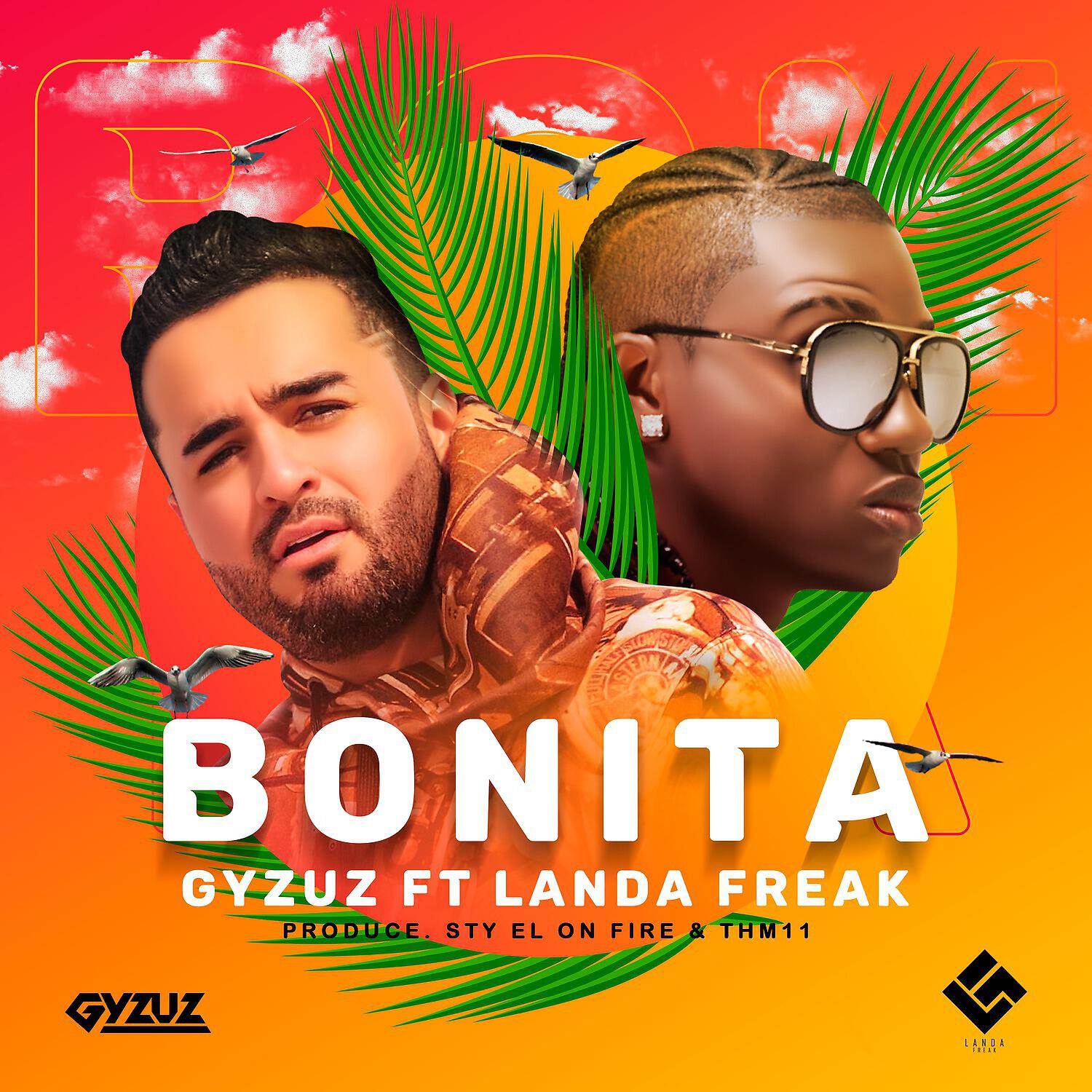 Релиз Bonita