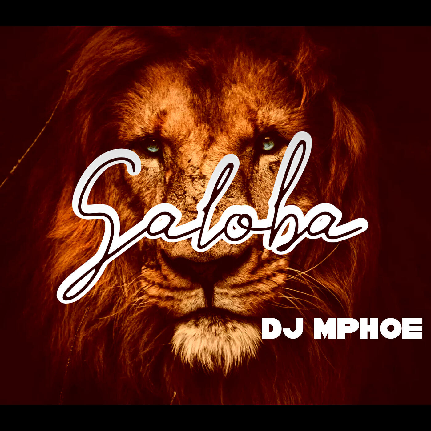 Релиз Saloba