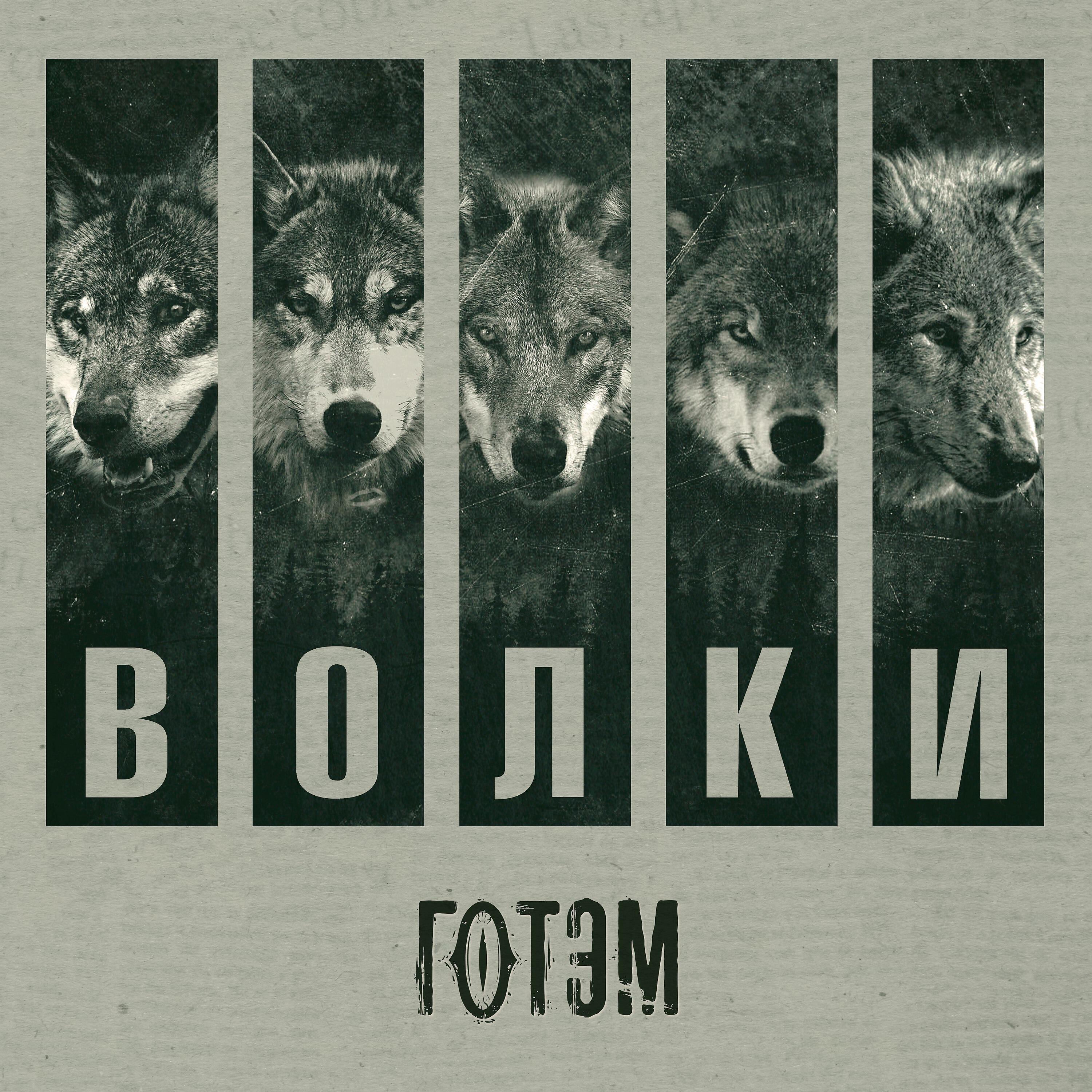 Релиз Волки