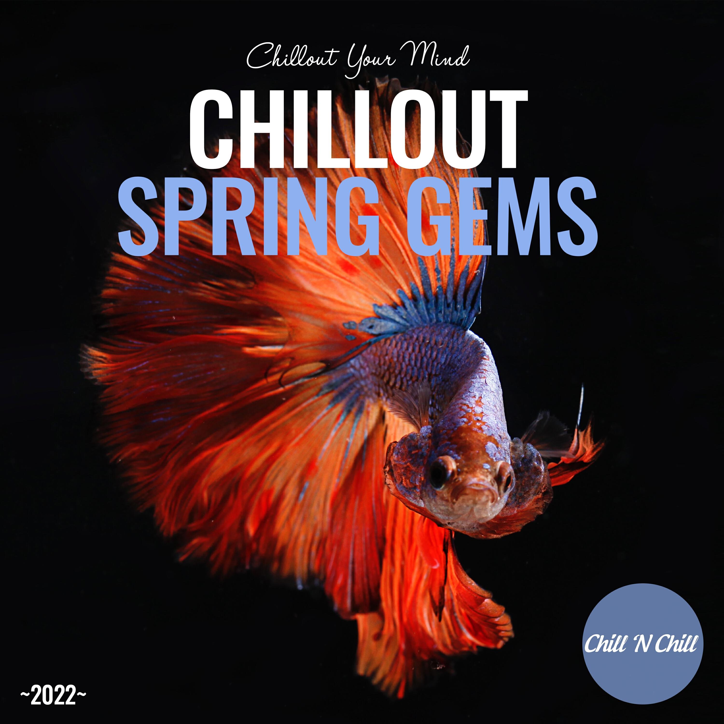Релиз Chillout Spring Gems 2022: Chillout Your Mind