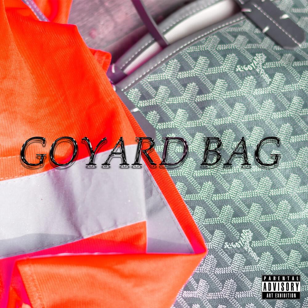 Релиз Goyard Bag
