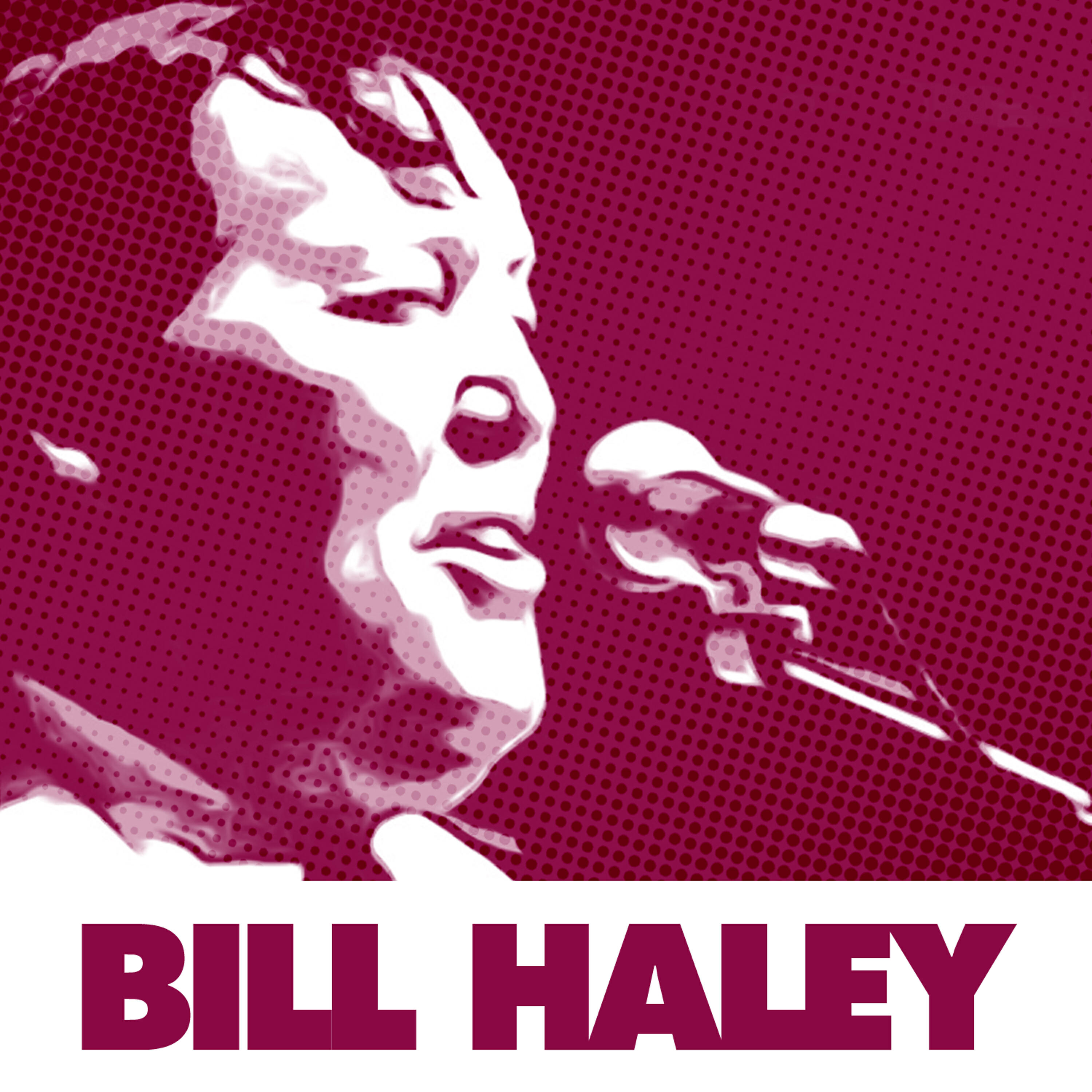 Релиз 61 Essential Rock 'n Roll Hits By Bill Haley