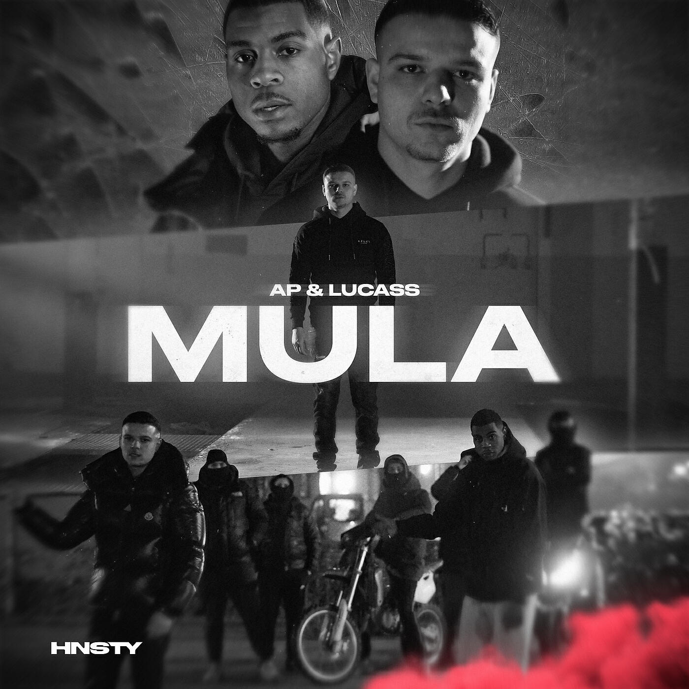 Релиз Mula