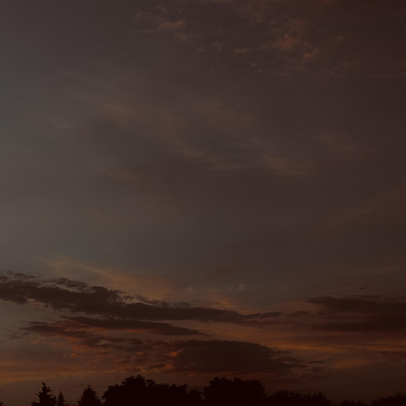 Релиз Warm Nights