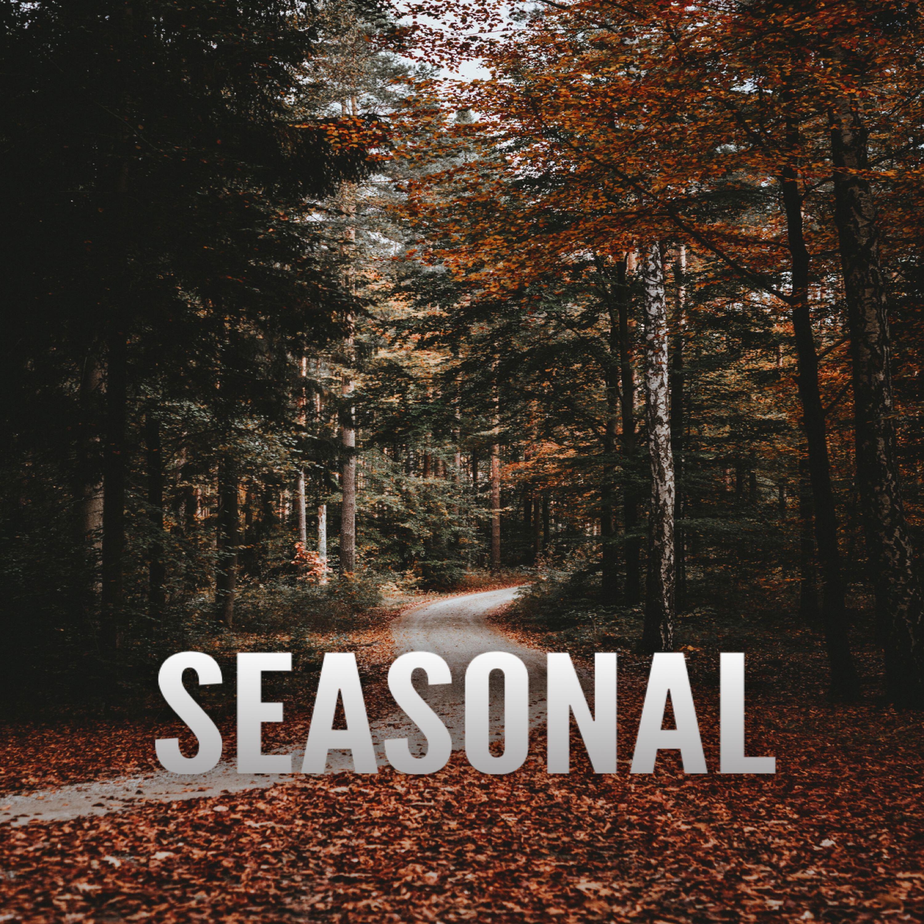 Релиз Seasonal