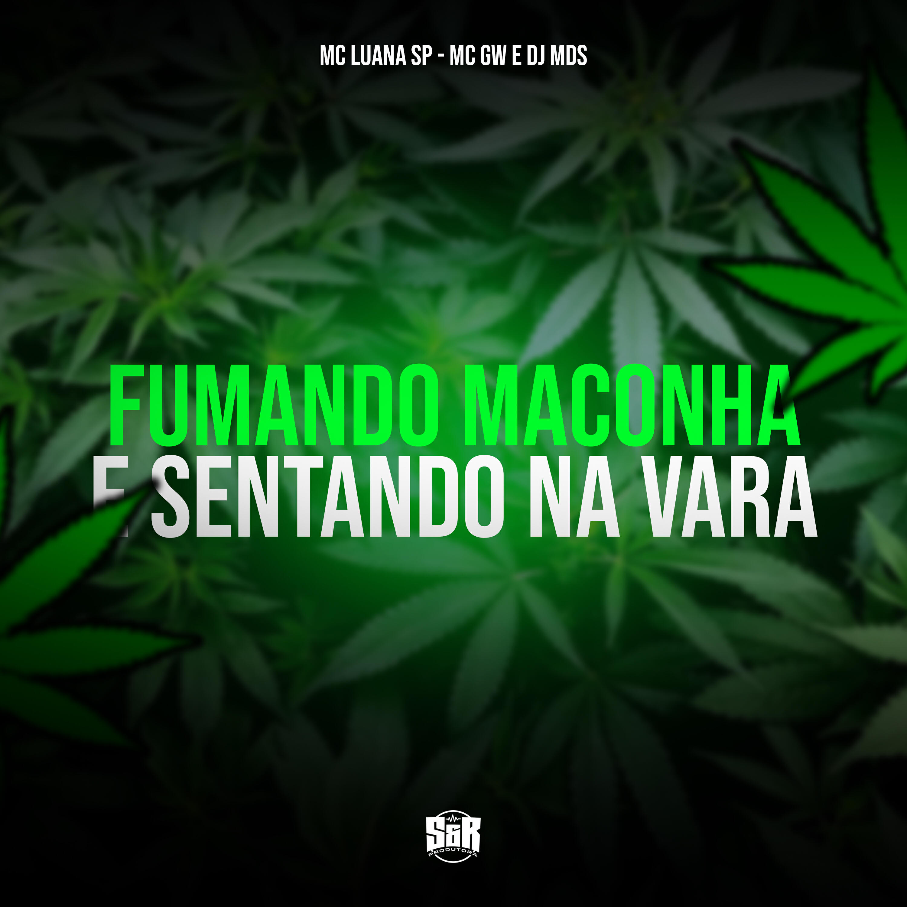Скачать песню DJ MDS, Mc GW, MC Luana SP - Fumando Maconha e Sentando na Vara бесплатно в MP3 для Android и iOS