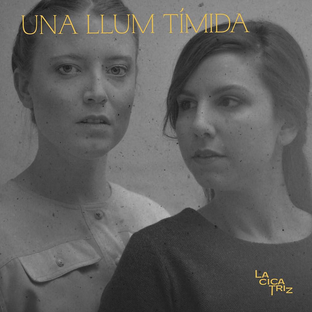 Una Llum Tímida