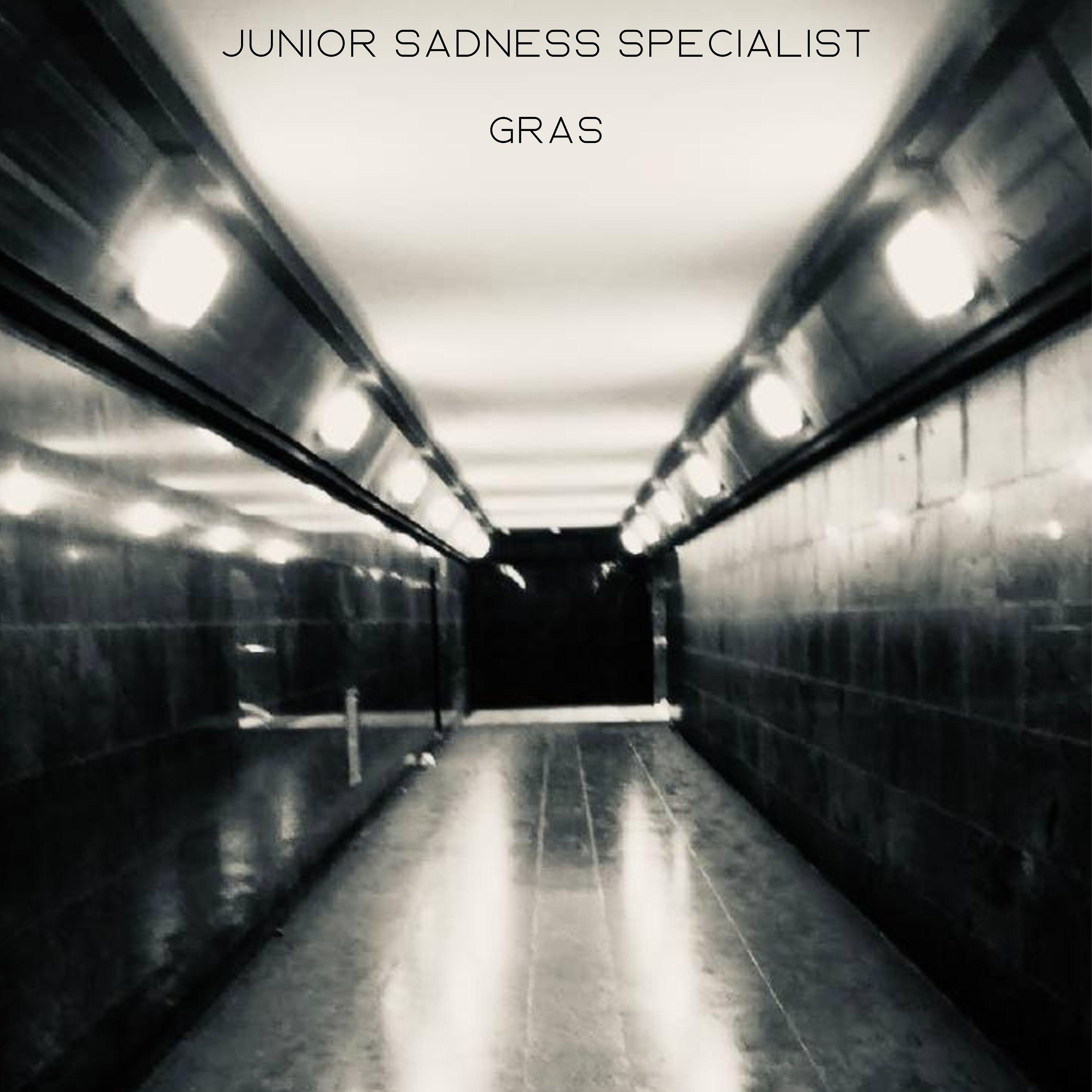 Релиз Junior Sadness Specialist