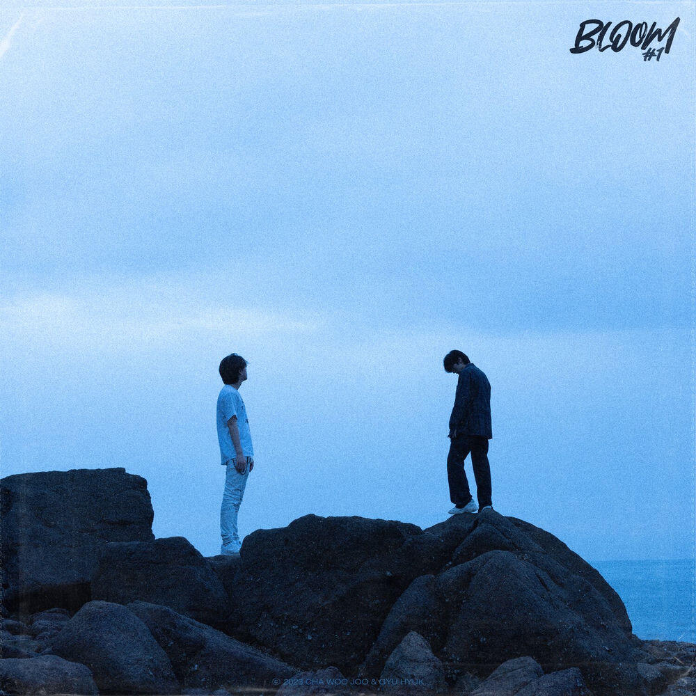 Релиз Bloom #1