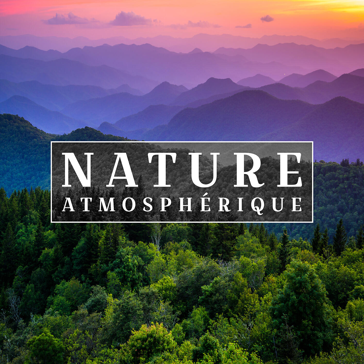 Релиз Nature atmosphérique: Détente avec des sons de la nature, Méditation dans la forêt, Des sons d'eau apaisante