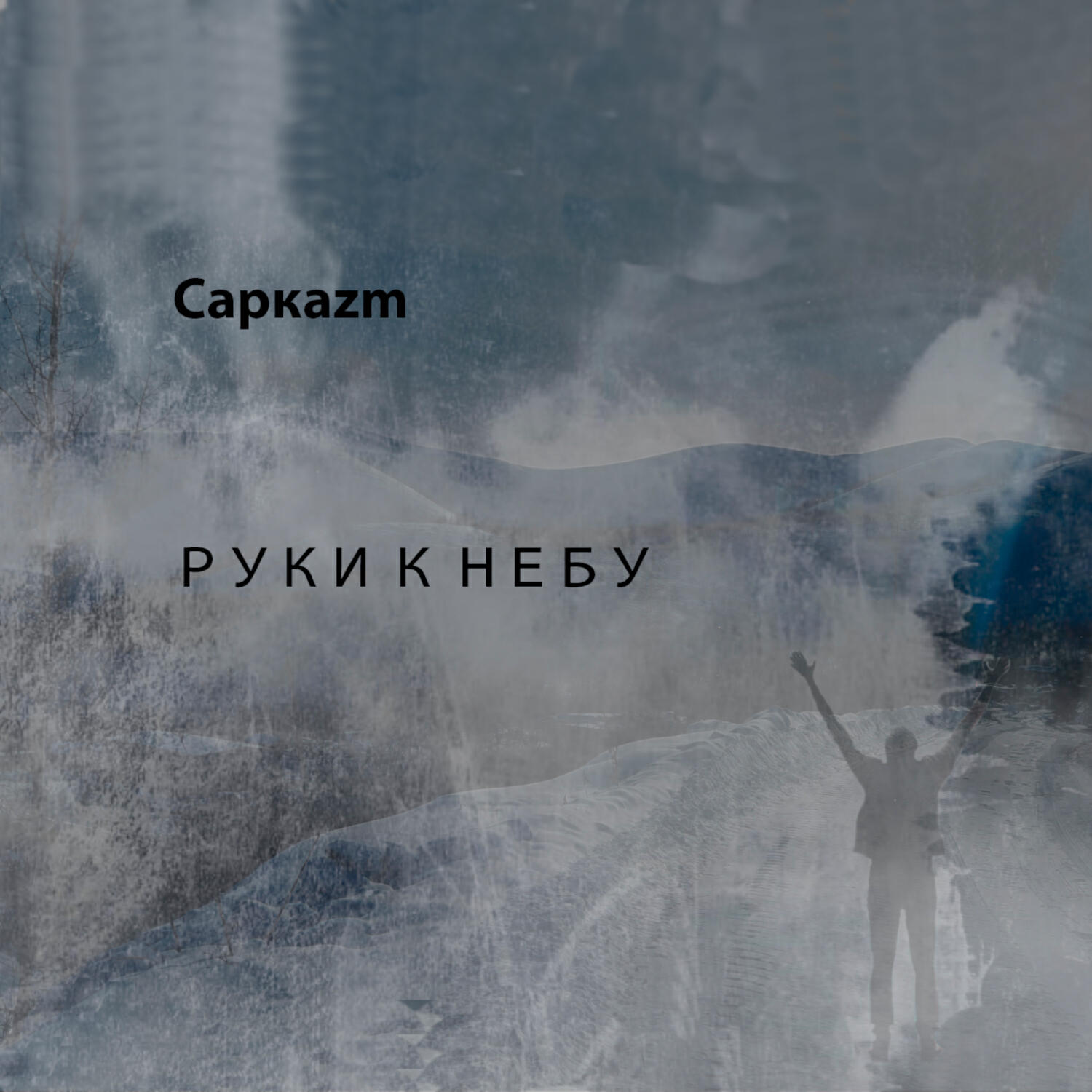 Саркаzm