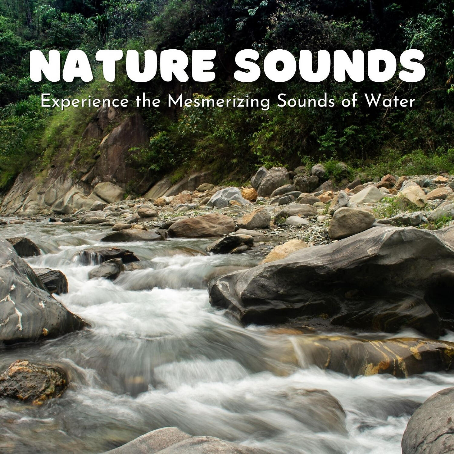 Постер альбома Nature Sounds: Experience the Mesmerizing Sounds of Water