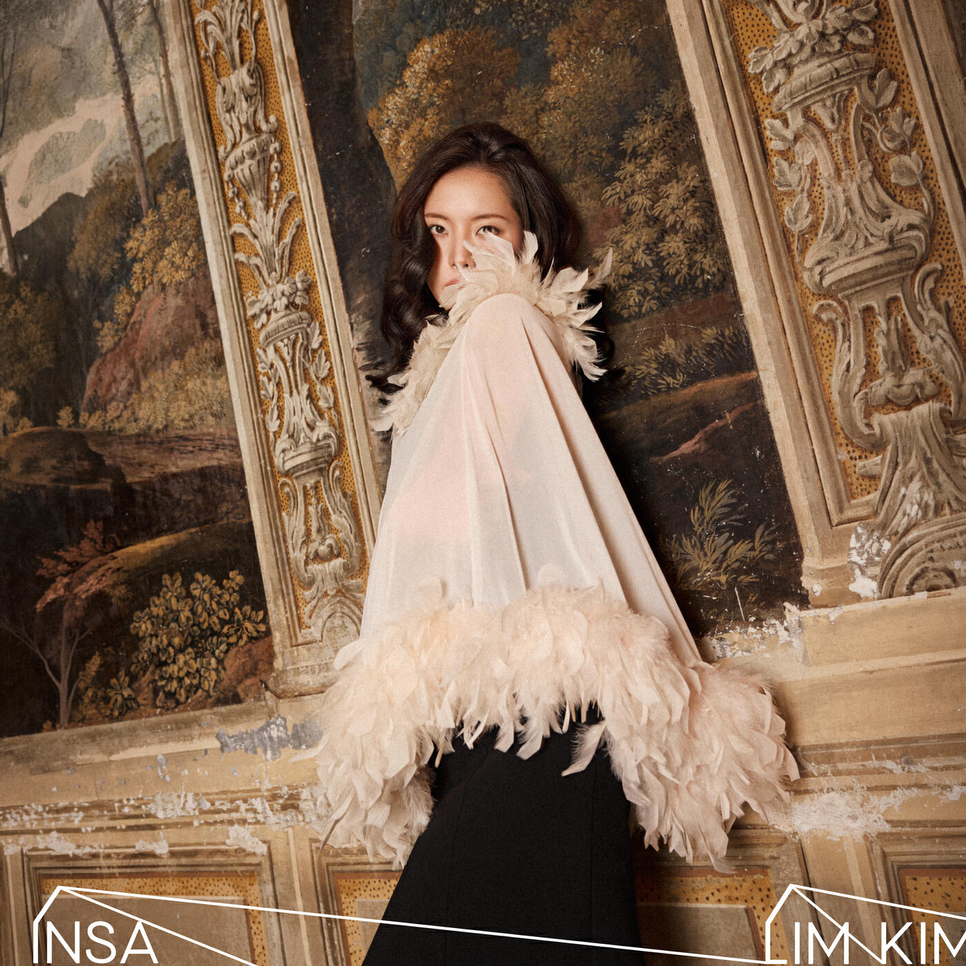 Релиз INSA