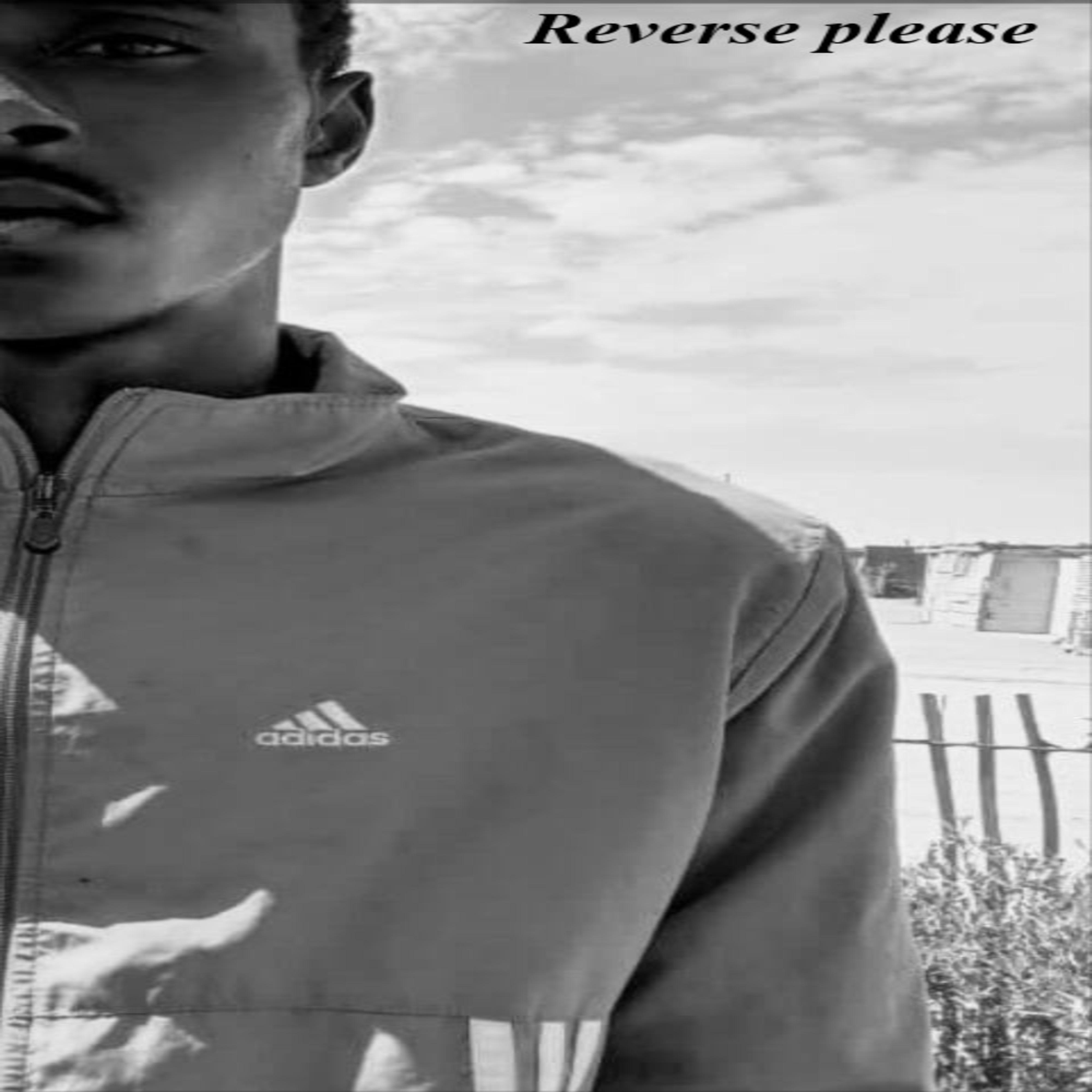 Релиз Reverse please