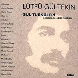 Lütfü Gültekin