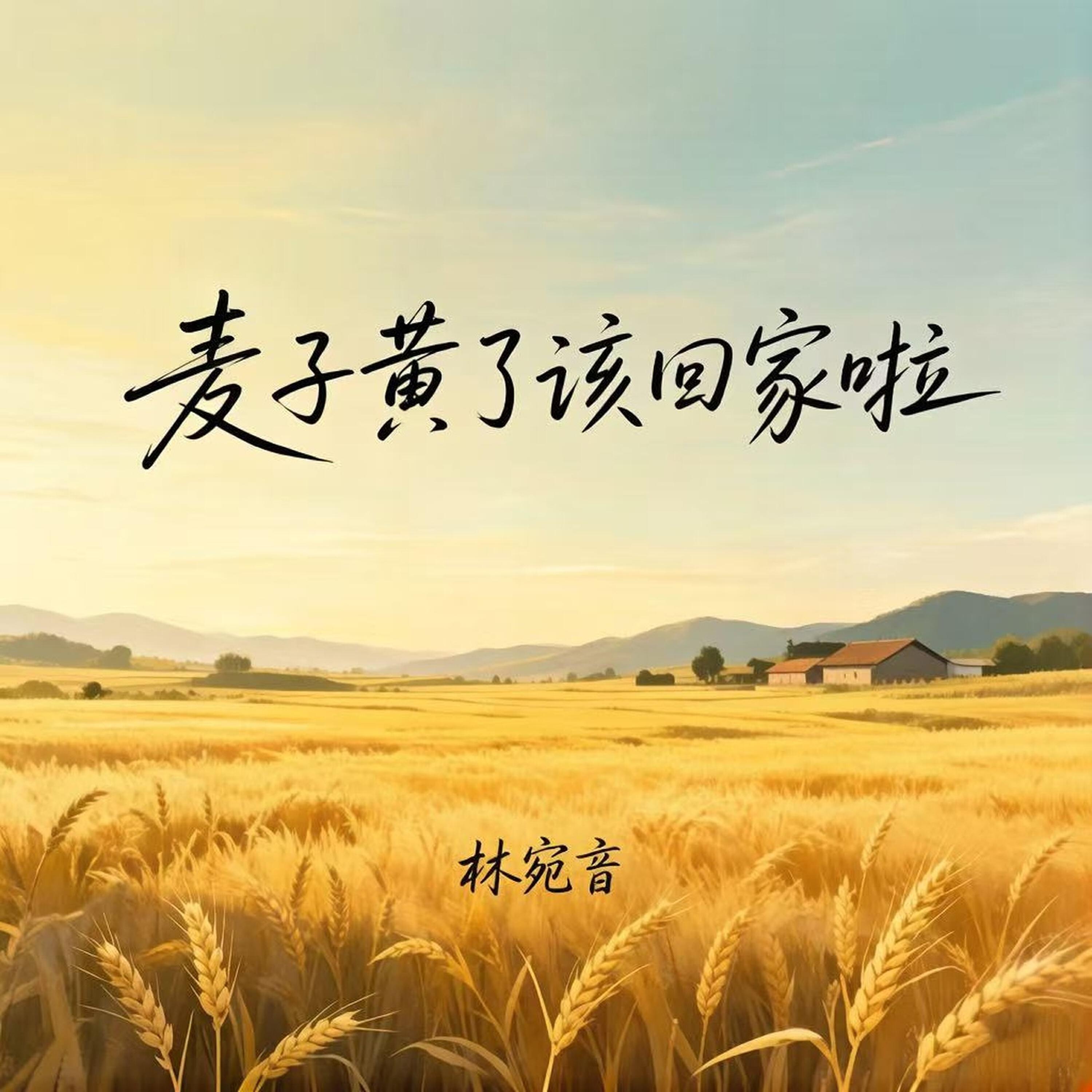 林宛音