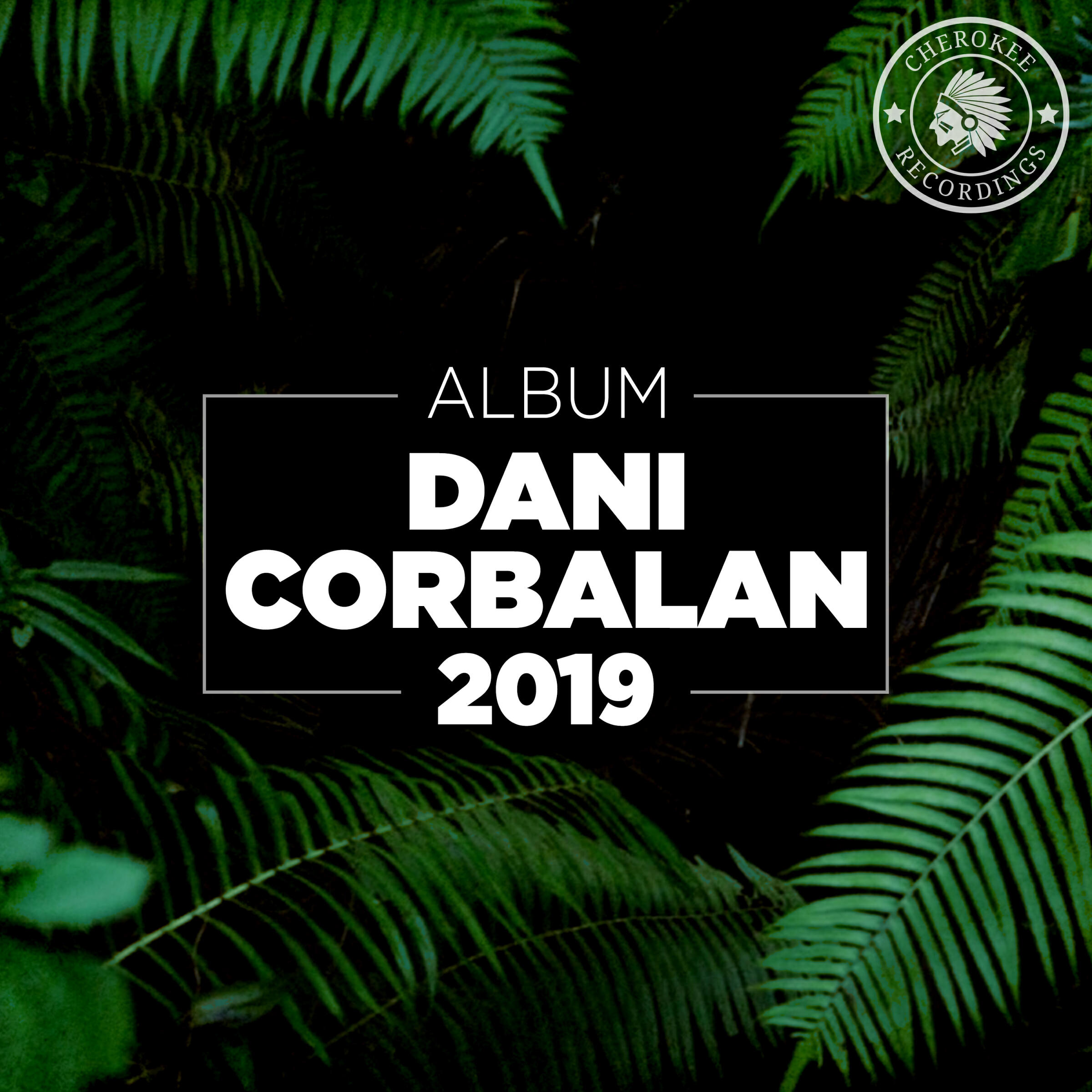 Релиз 2019 Album