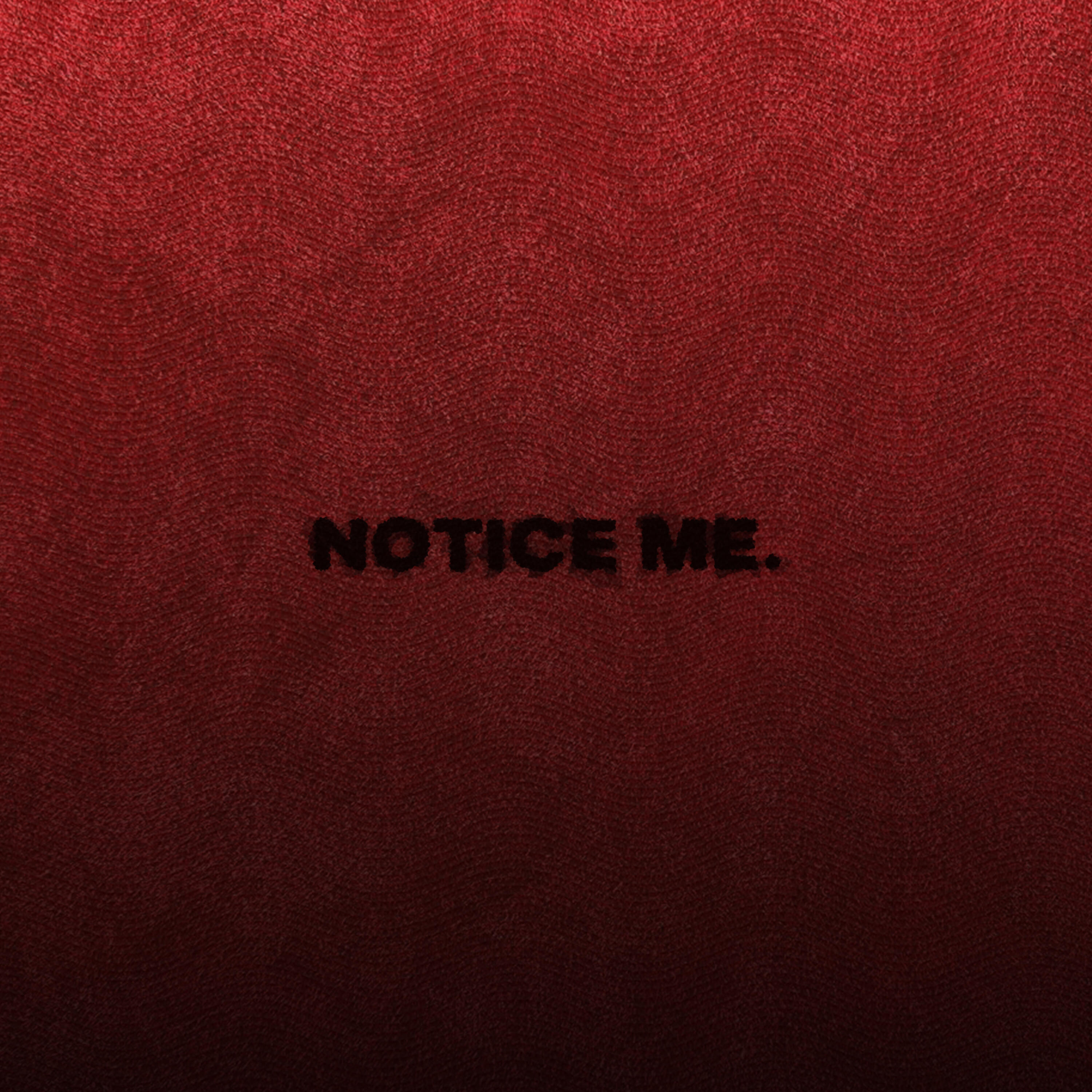 Релиз notice me.