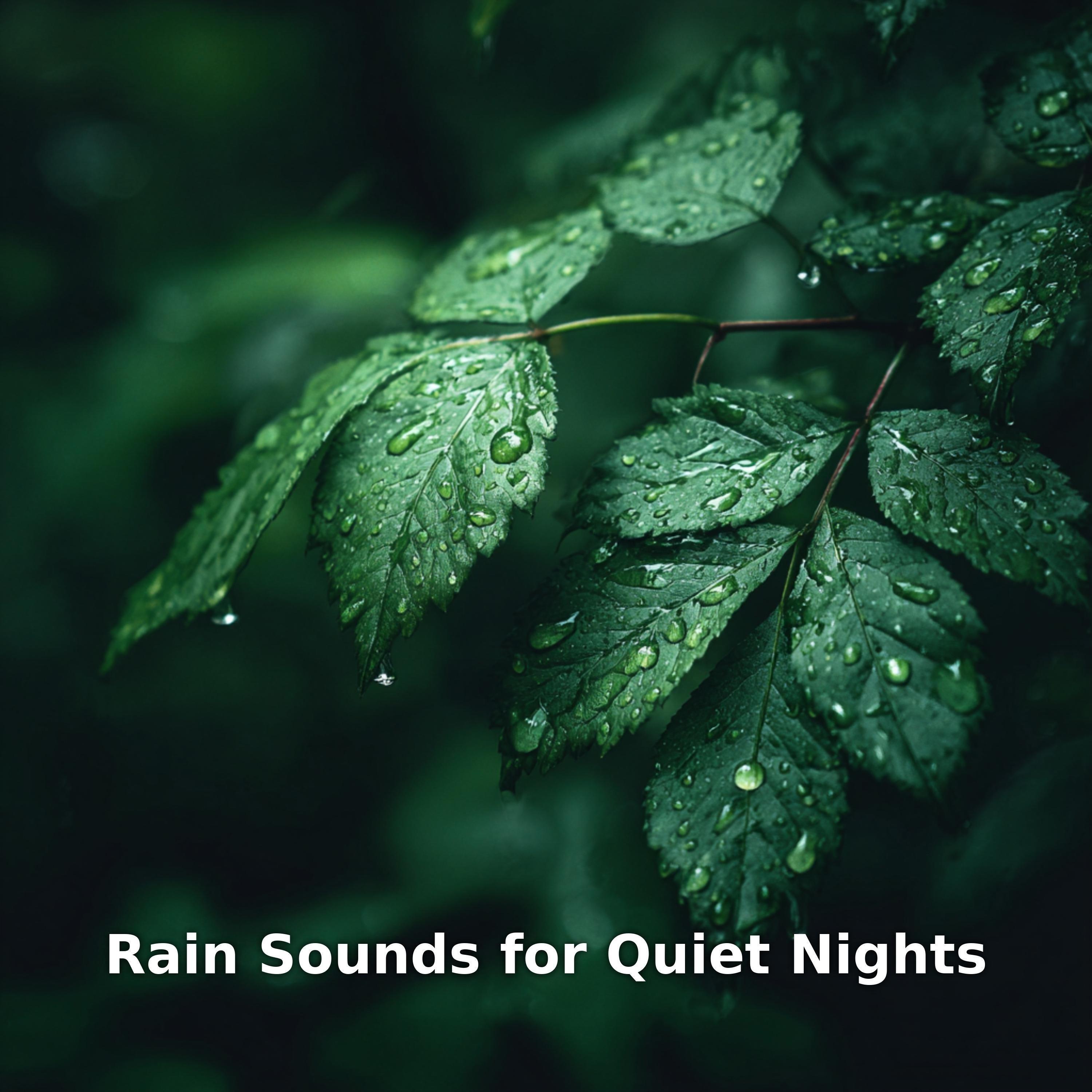 Релиз Rain Sounds for Quiet Nights