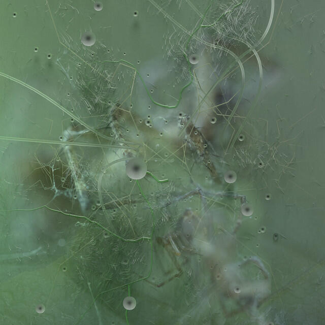 Трек Winged - Priori Rezone