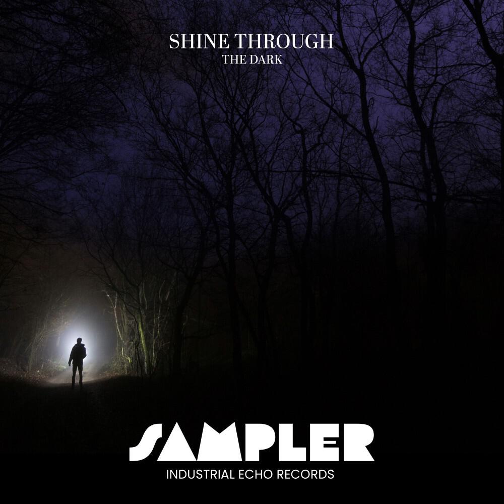 Релиз Shine Through the Dark