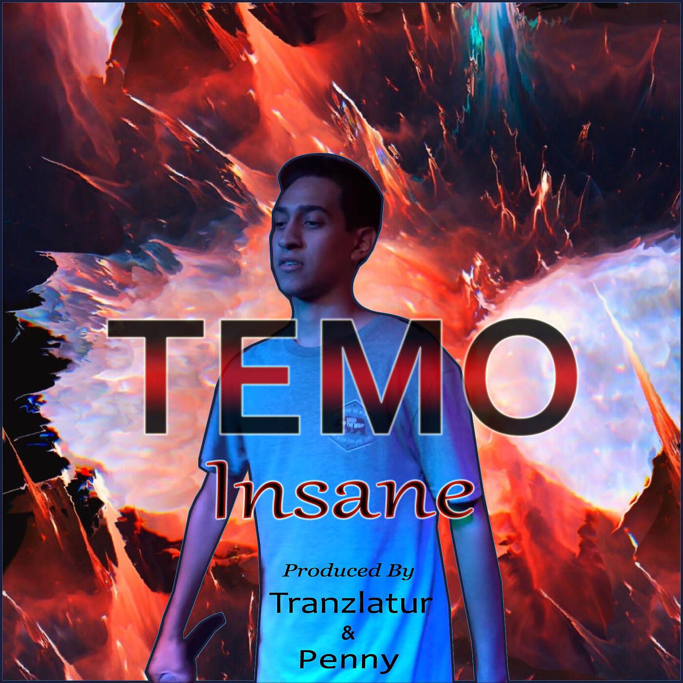 Постер альбома Insane