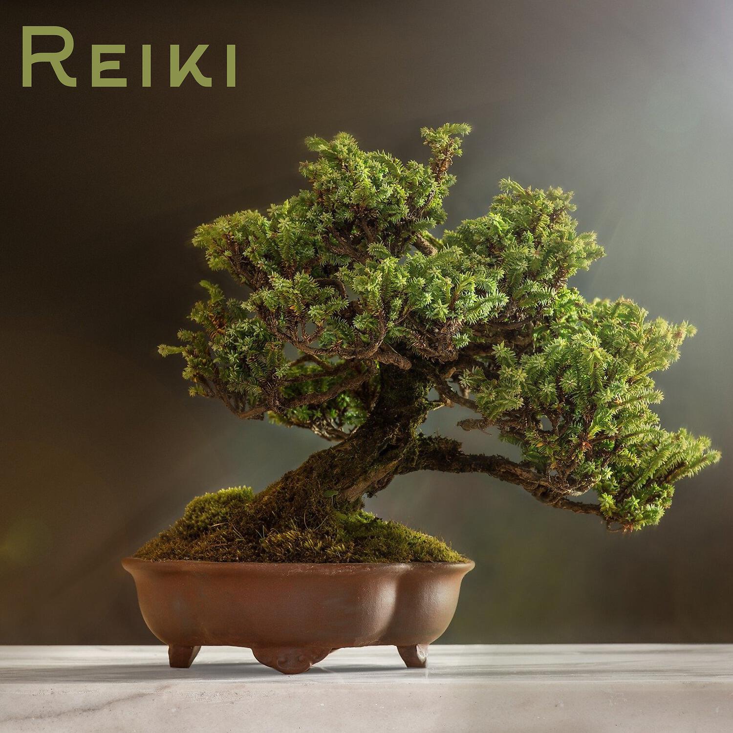 Постер альбома Reiki