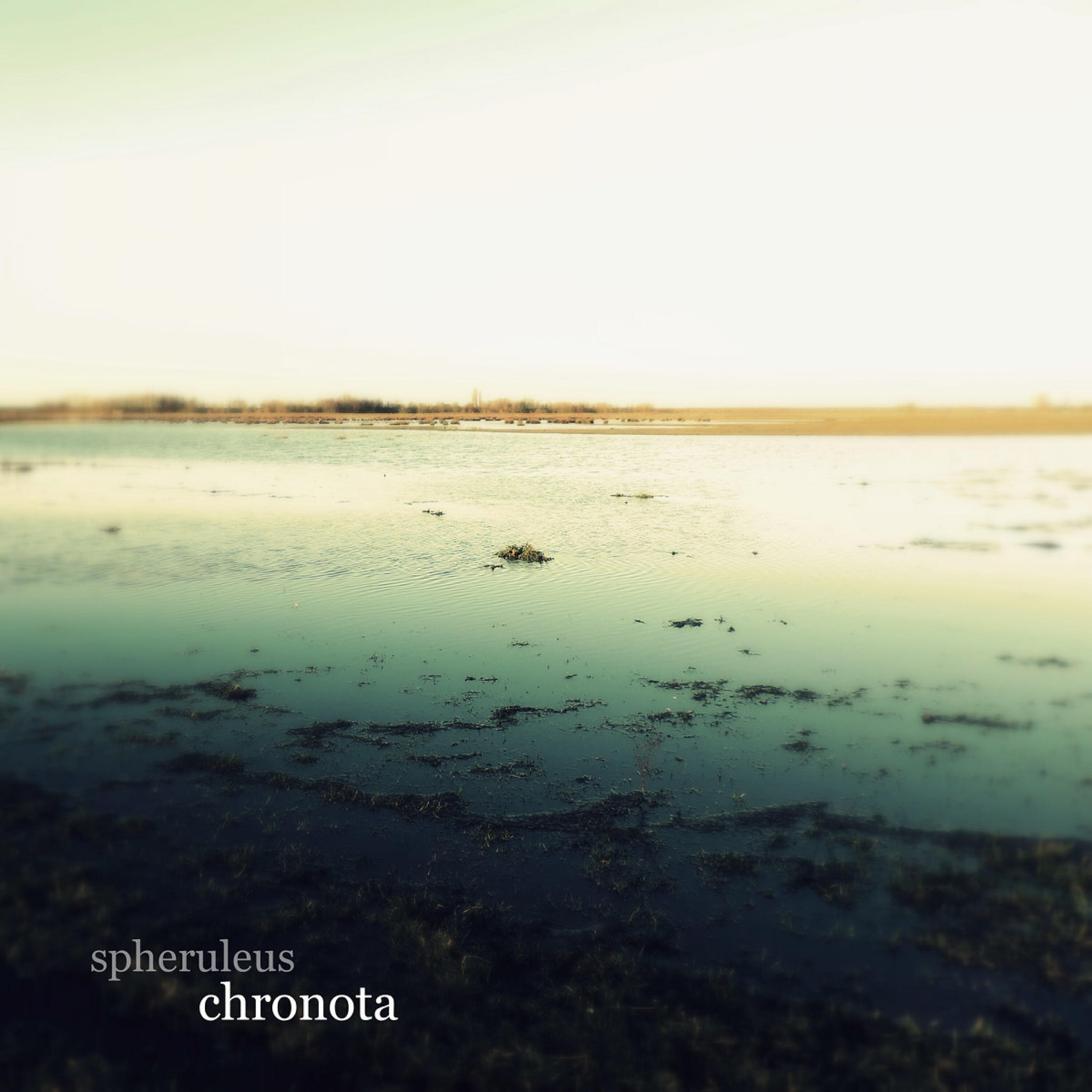 Релиз Chronota