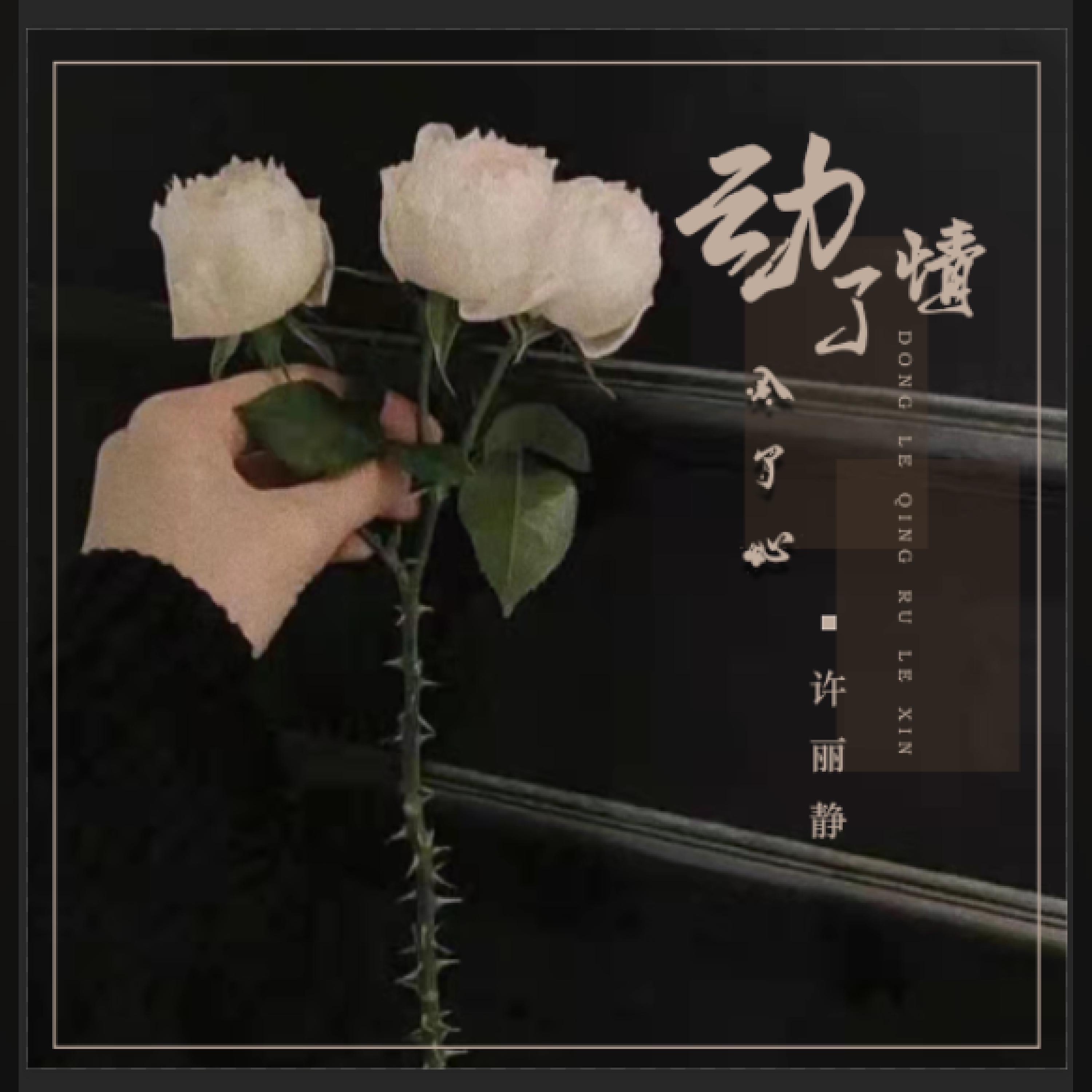 Релиз 动了情入了心