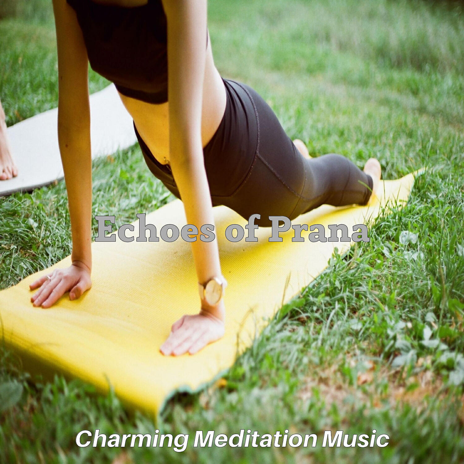 Charming Meditation Music