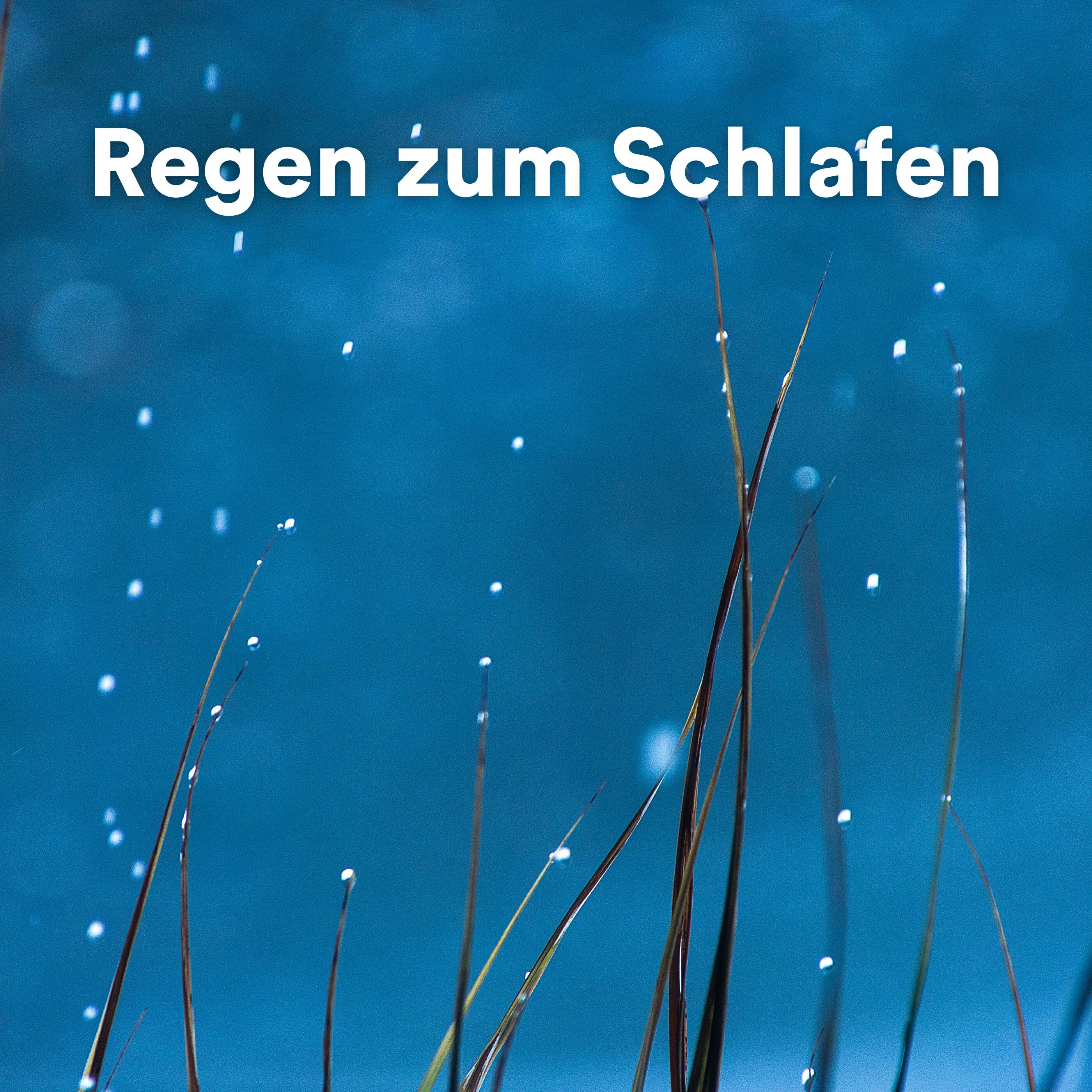 Stad Regen