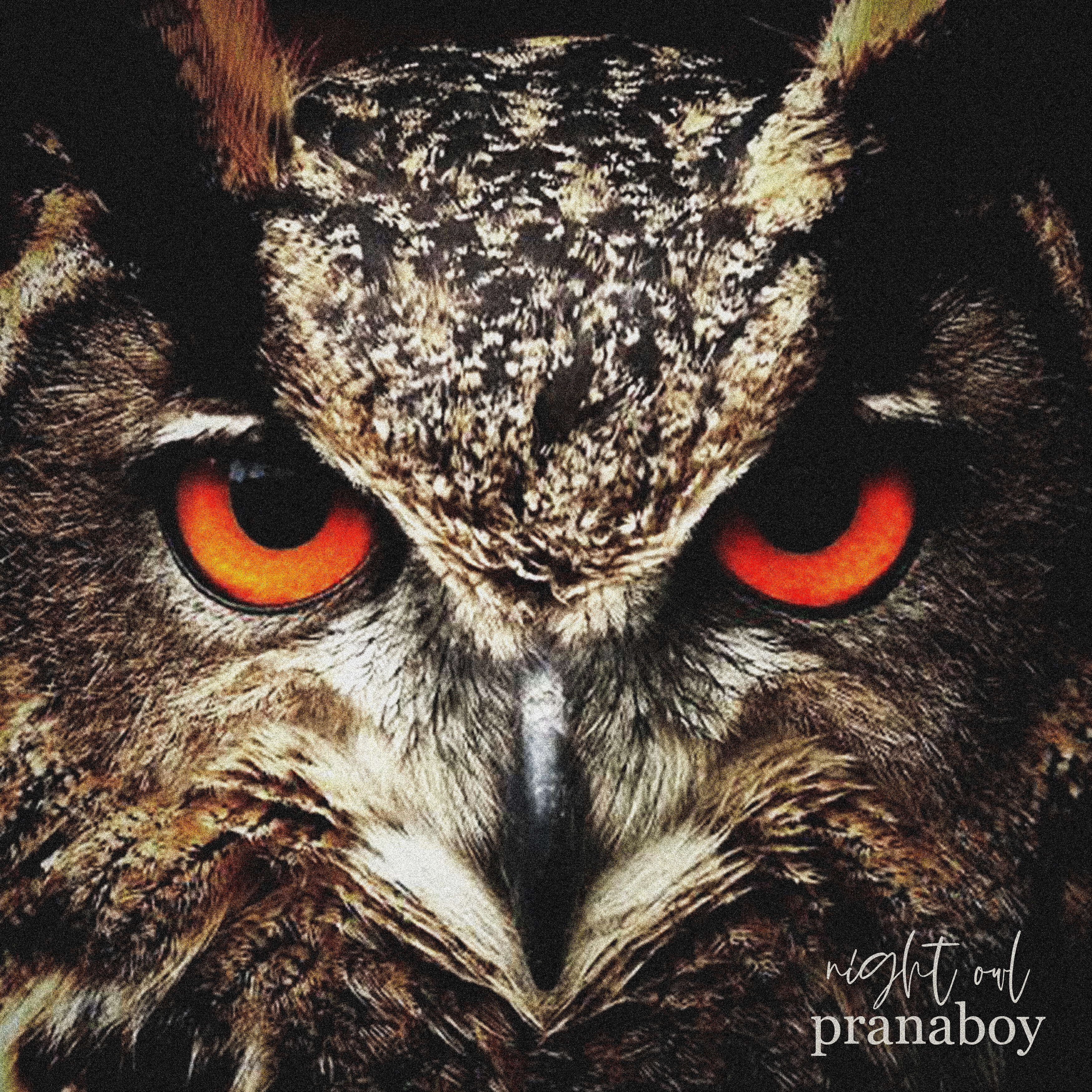 Релиз Night Owl