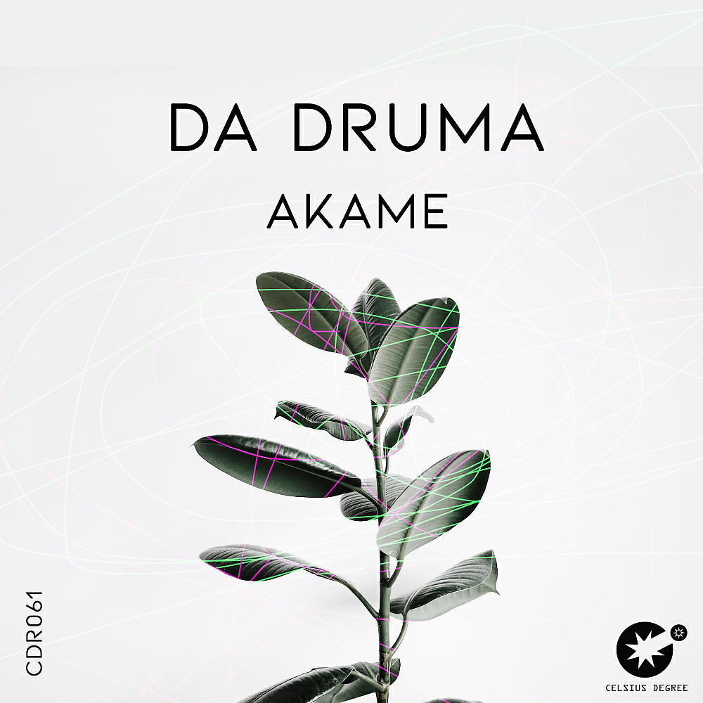 Релиз Akame