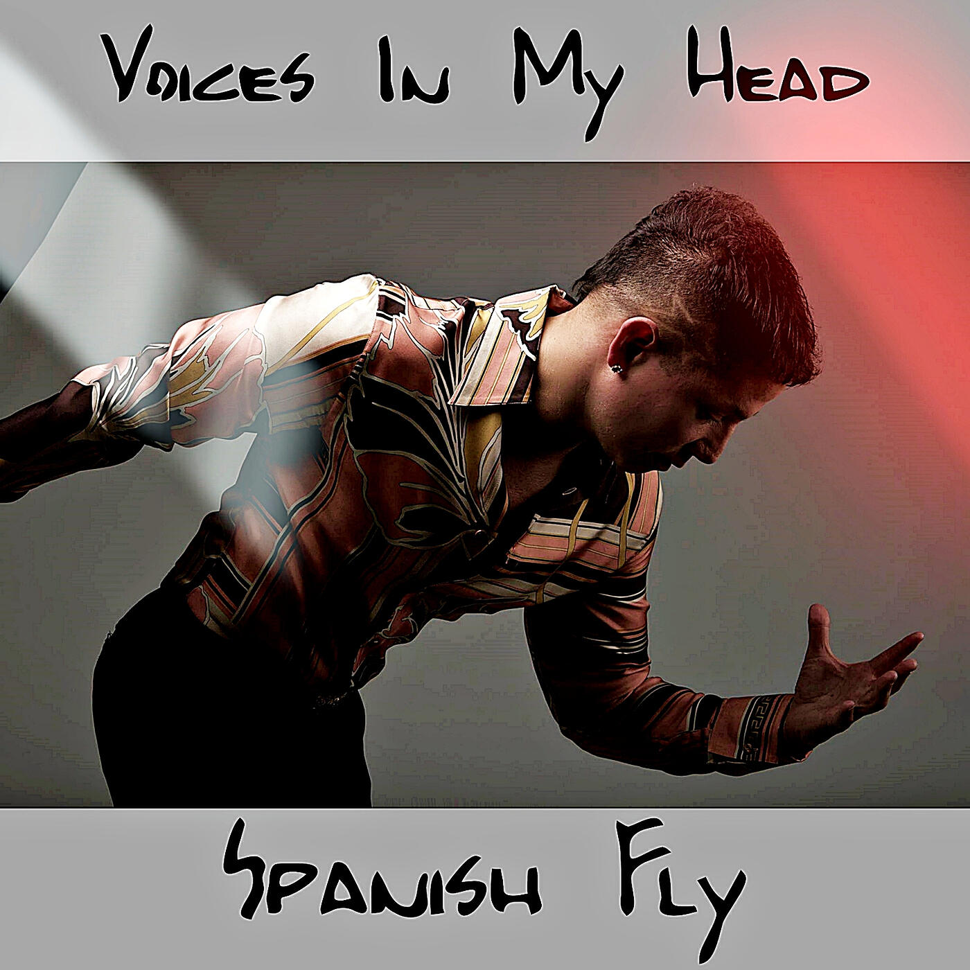 Релиз Voices in My Head