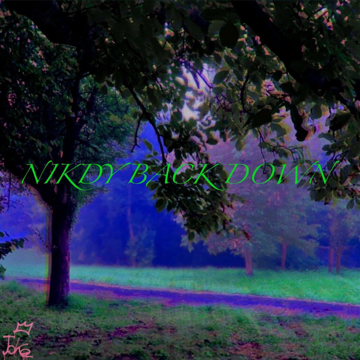 Постер альбома Nikdy back down