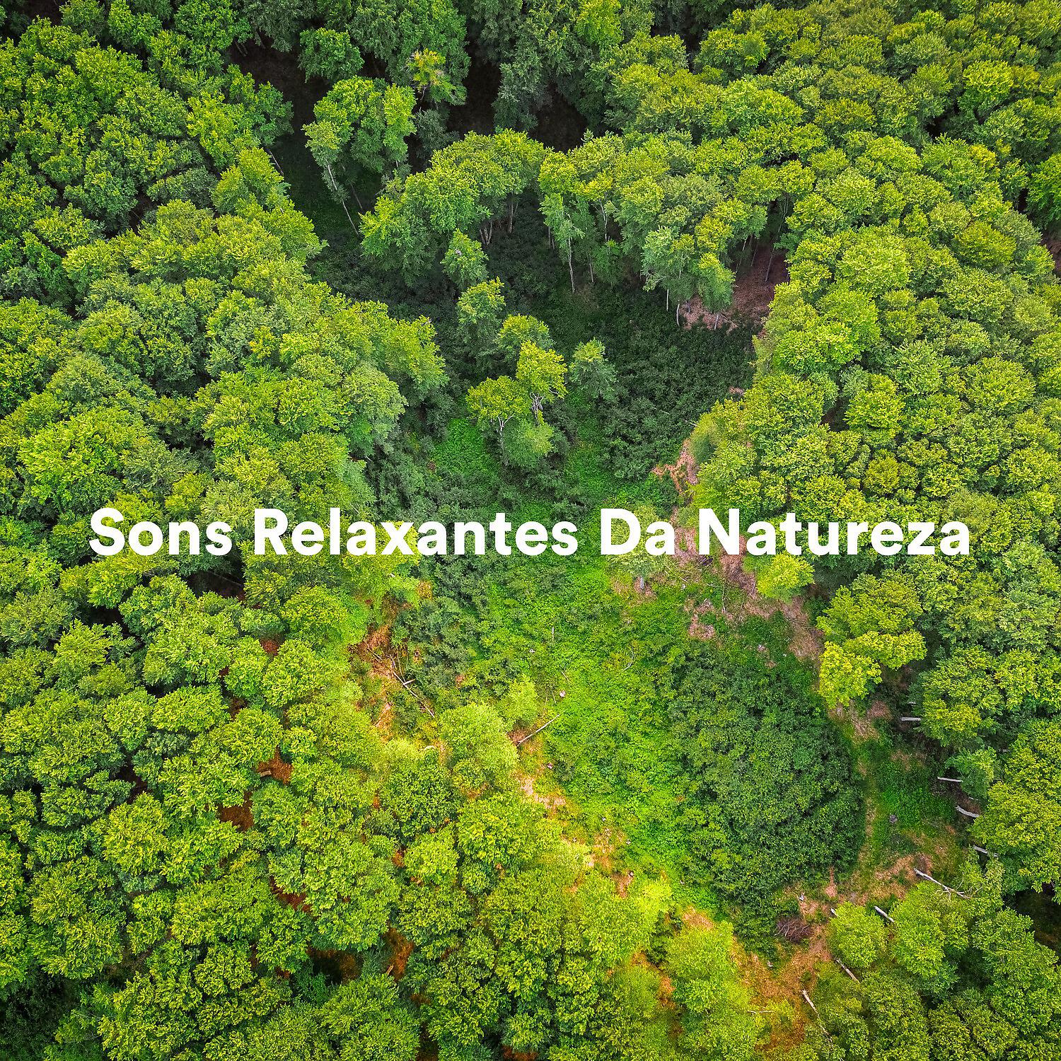 Релиз Sons Relaxantes da Natureza
