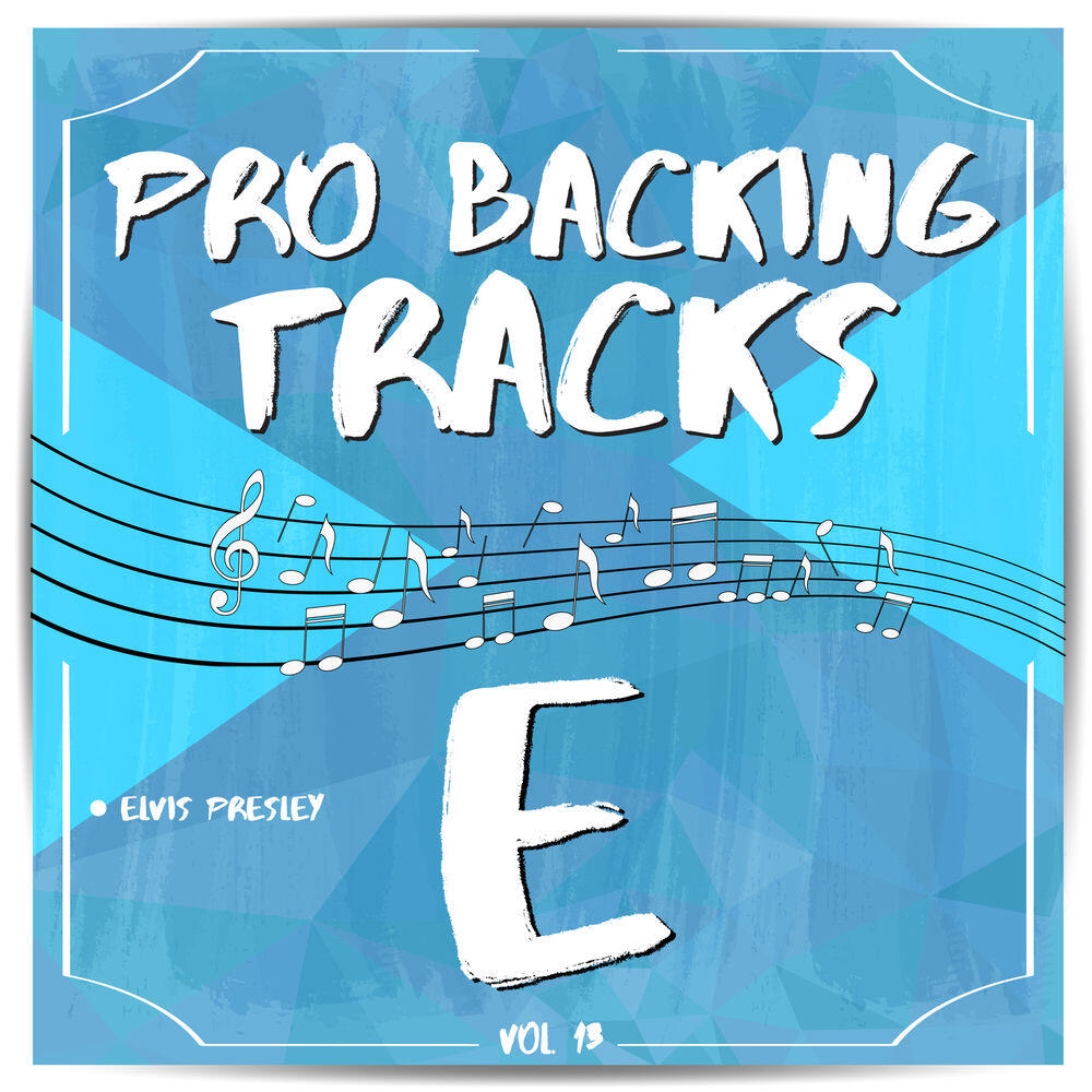 Релиз Pro Backing Tracks E, Vol.13