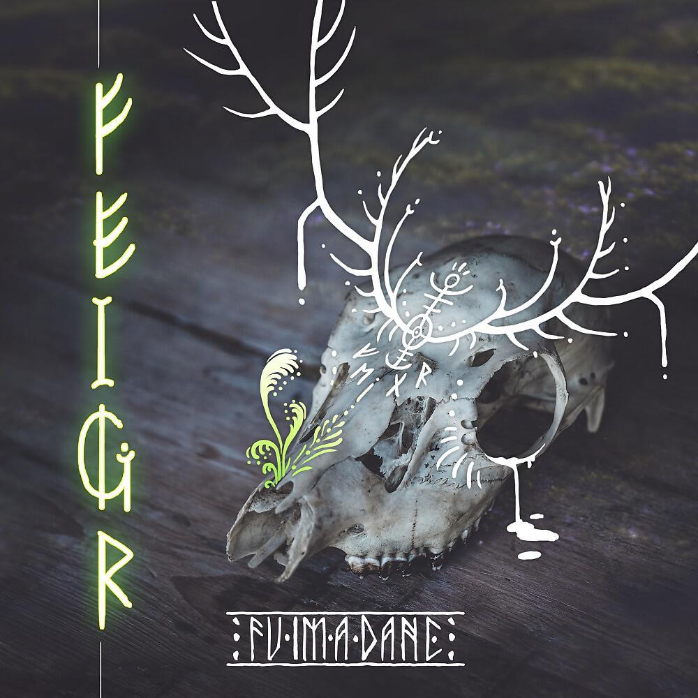 Релиз Feigr