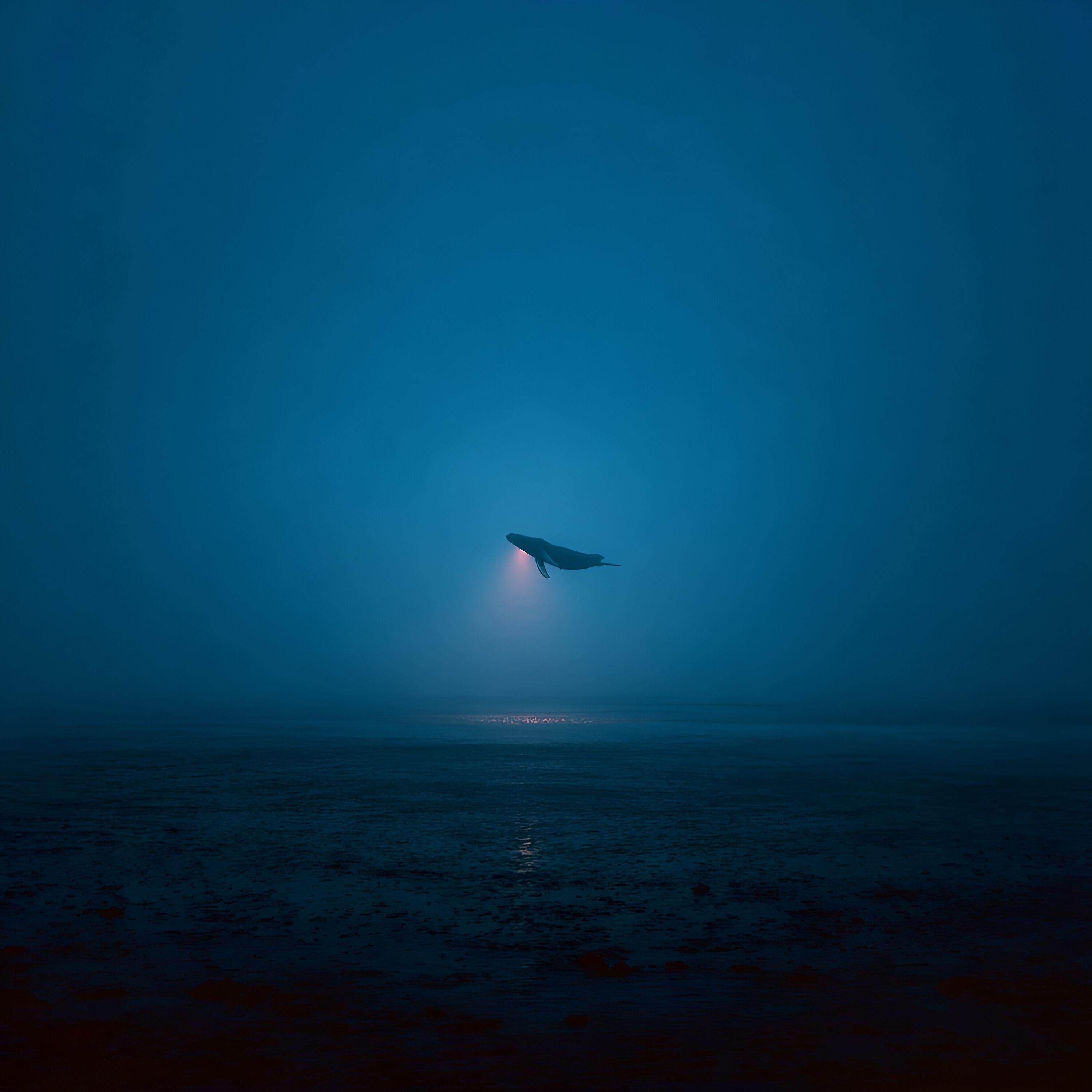 Релиз Lunar