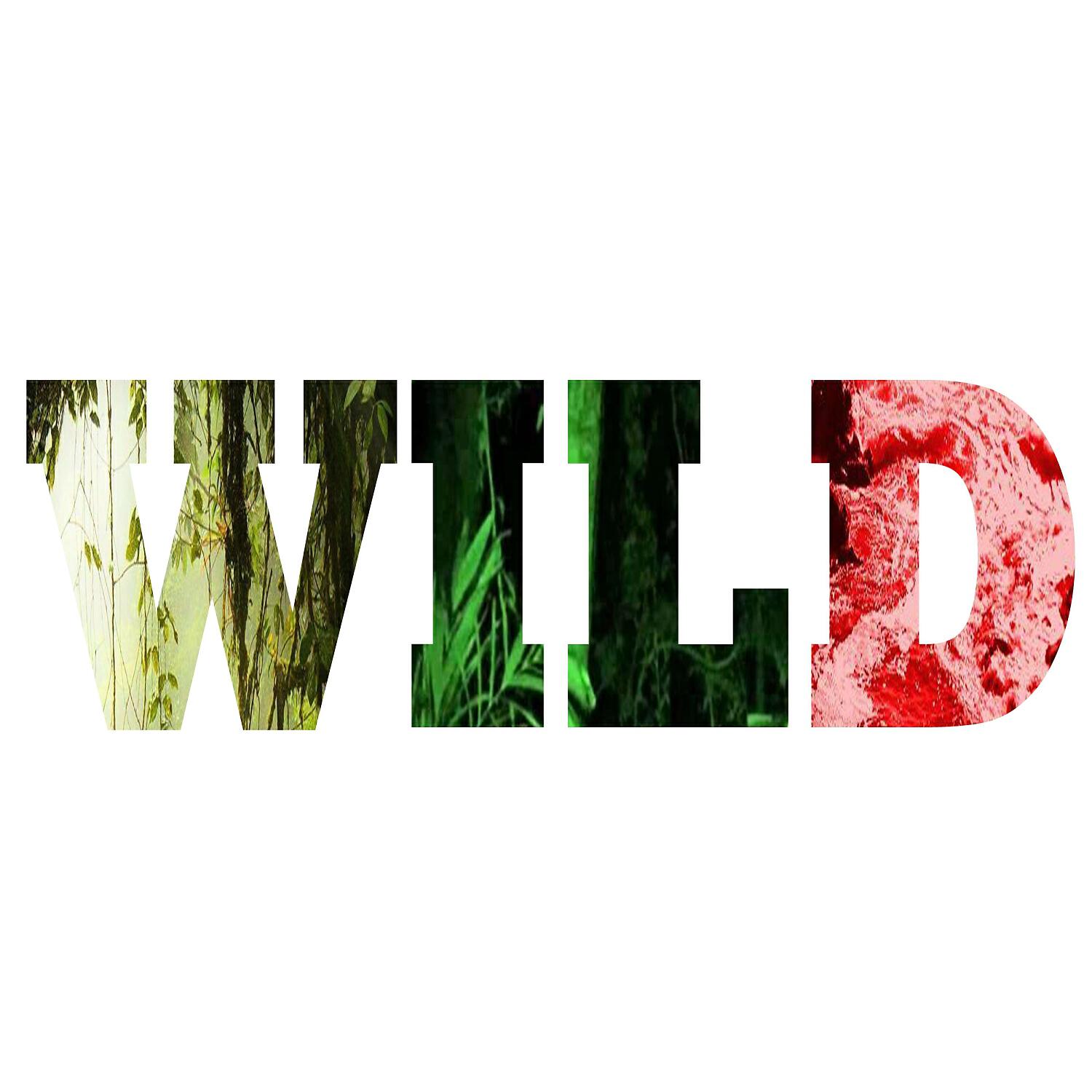 Релиз Wild
