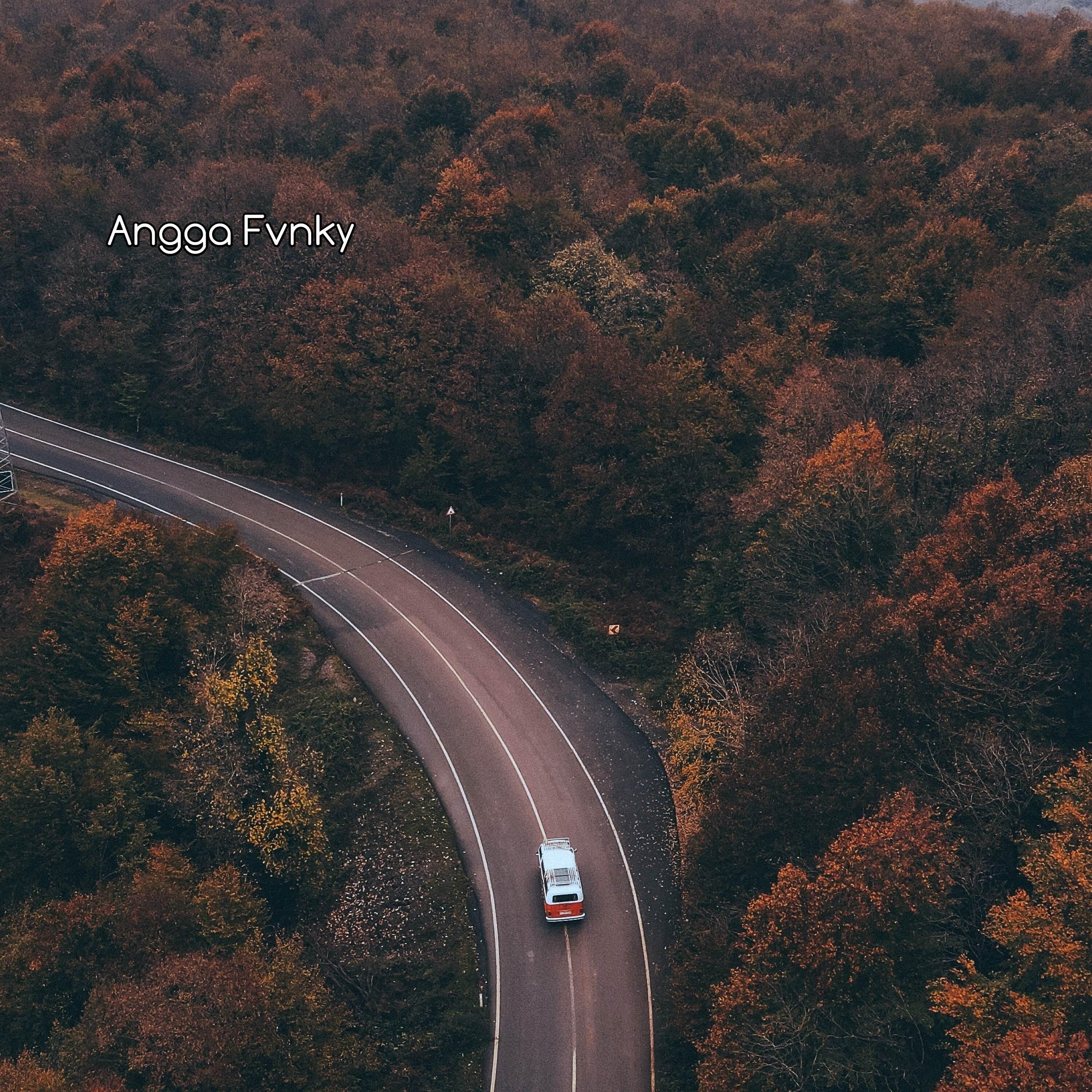 Релиз Dj Mashup Pargoy