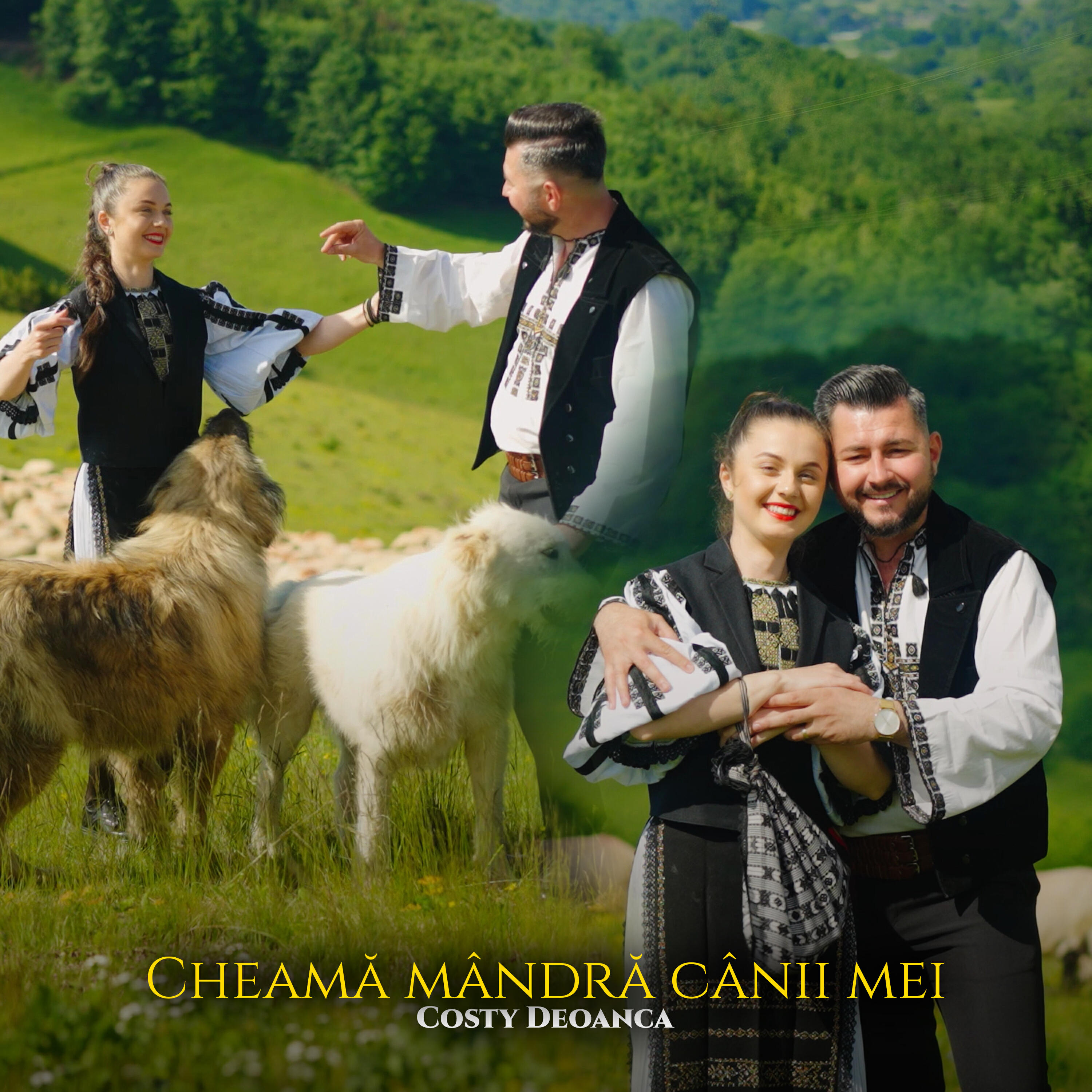 Релиз Cheamă mândră cânii mei