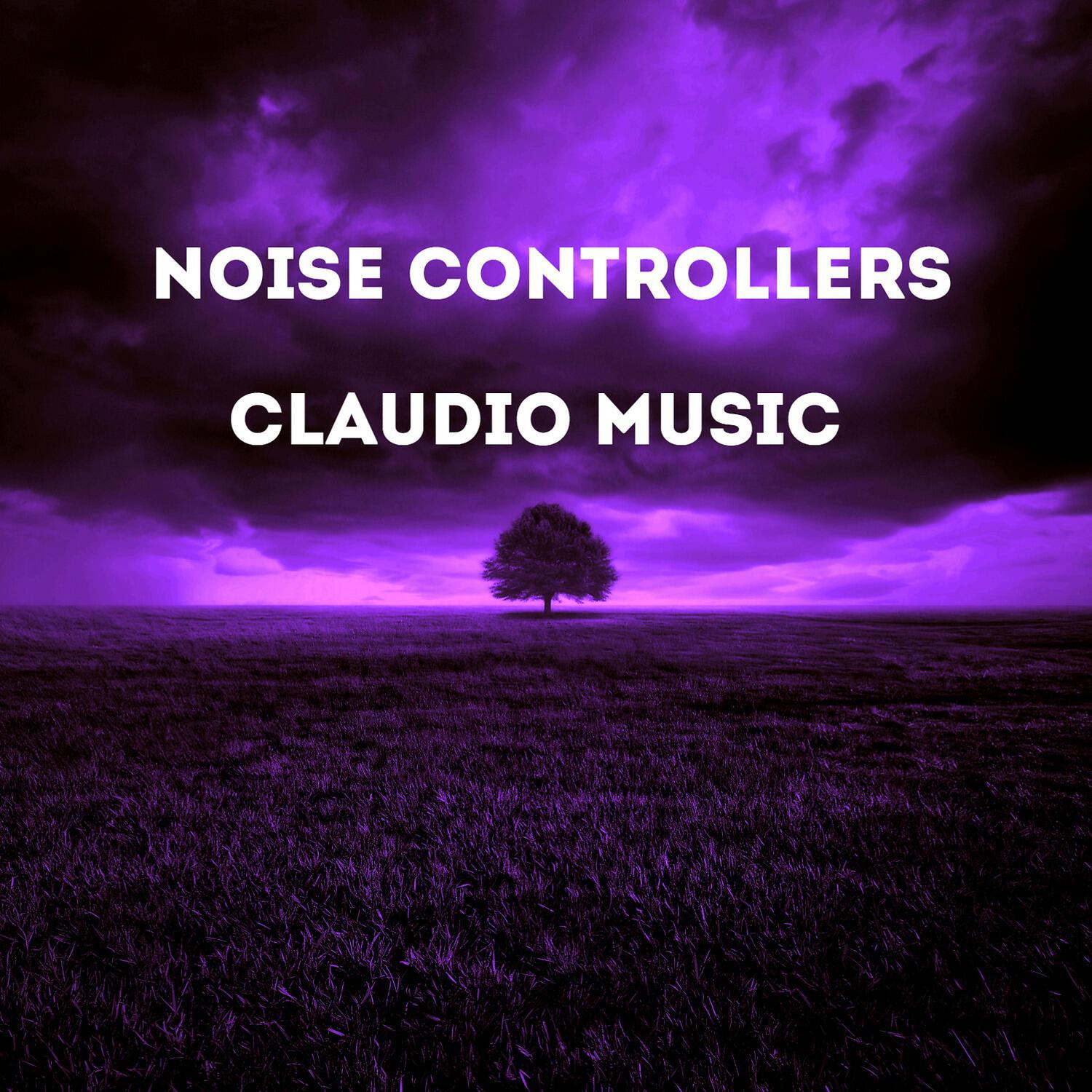 Релиз Noise Controllers