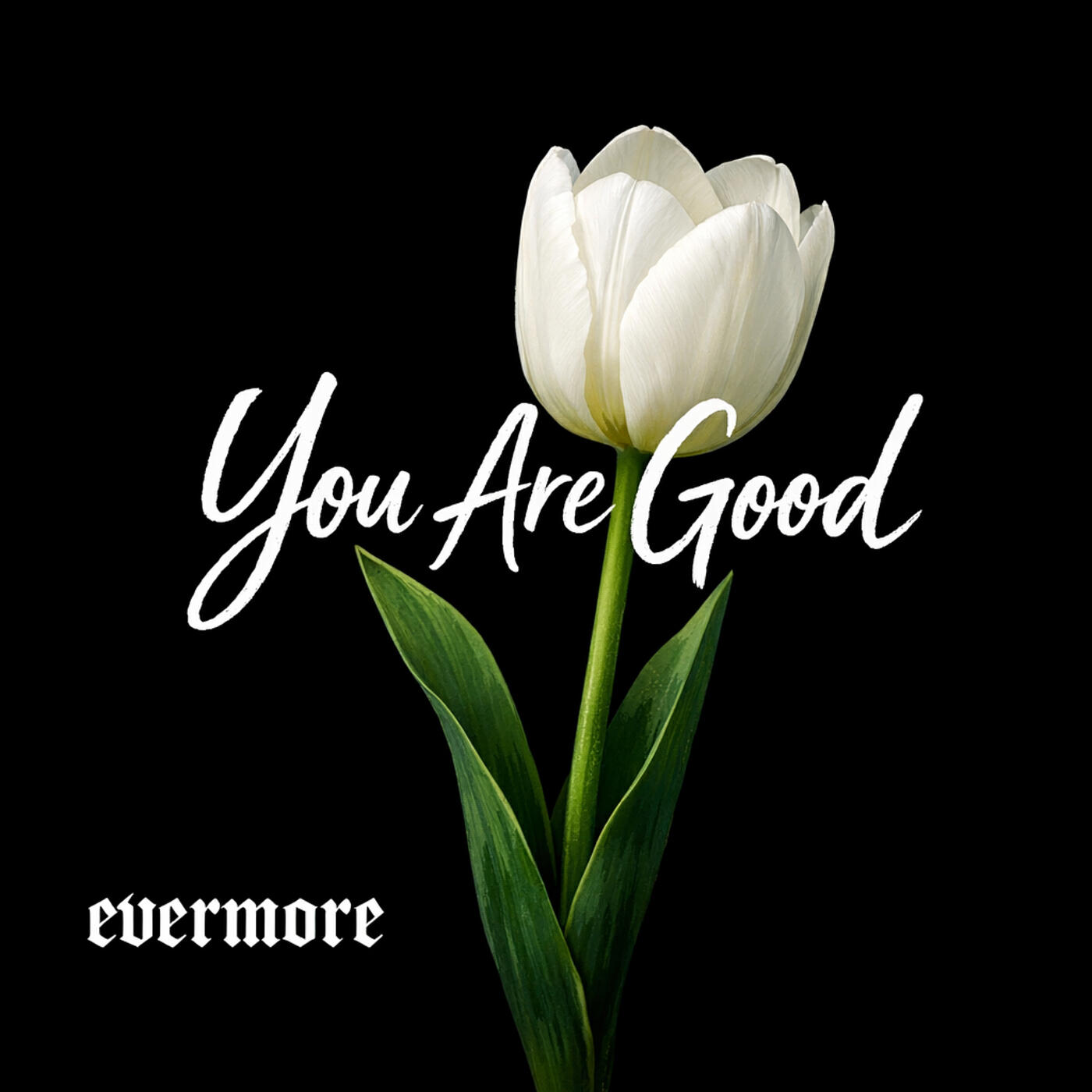 Релиз You Are Good