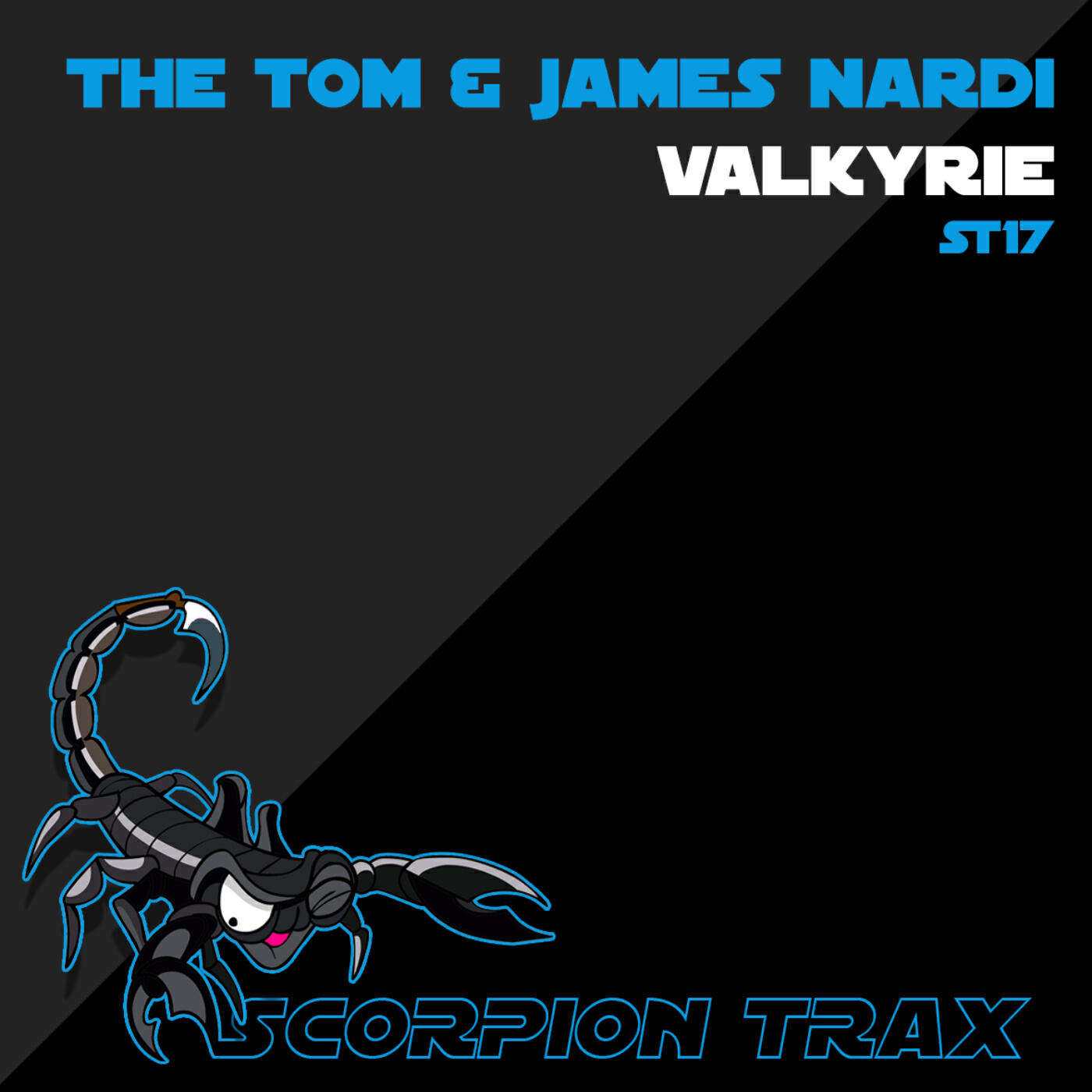 Релиз Valkyrie