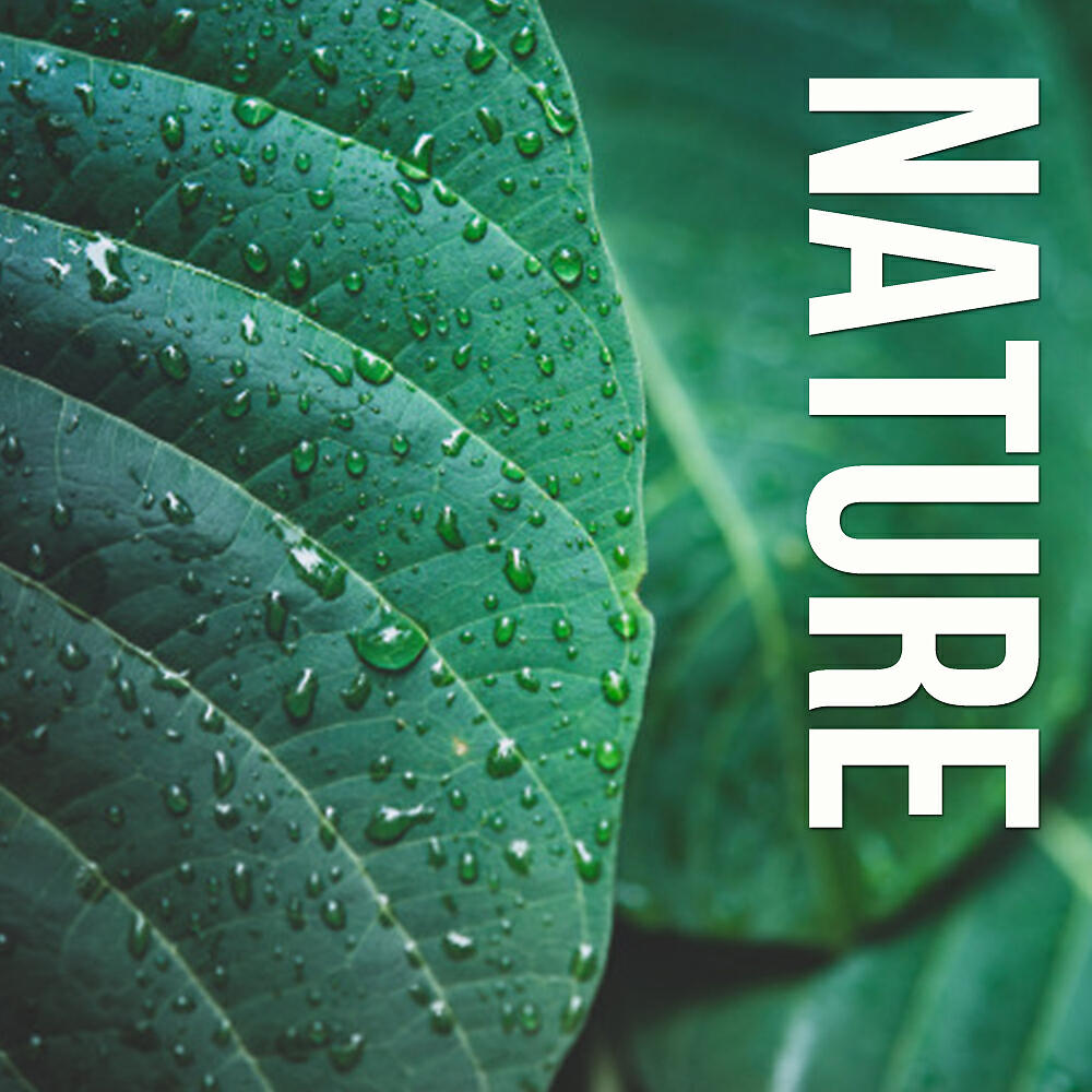 Релиз Nature