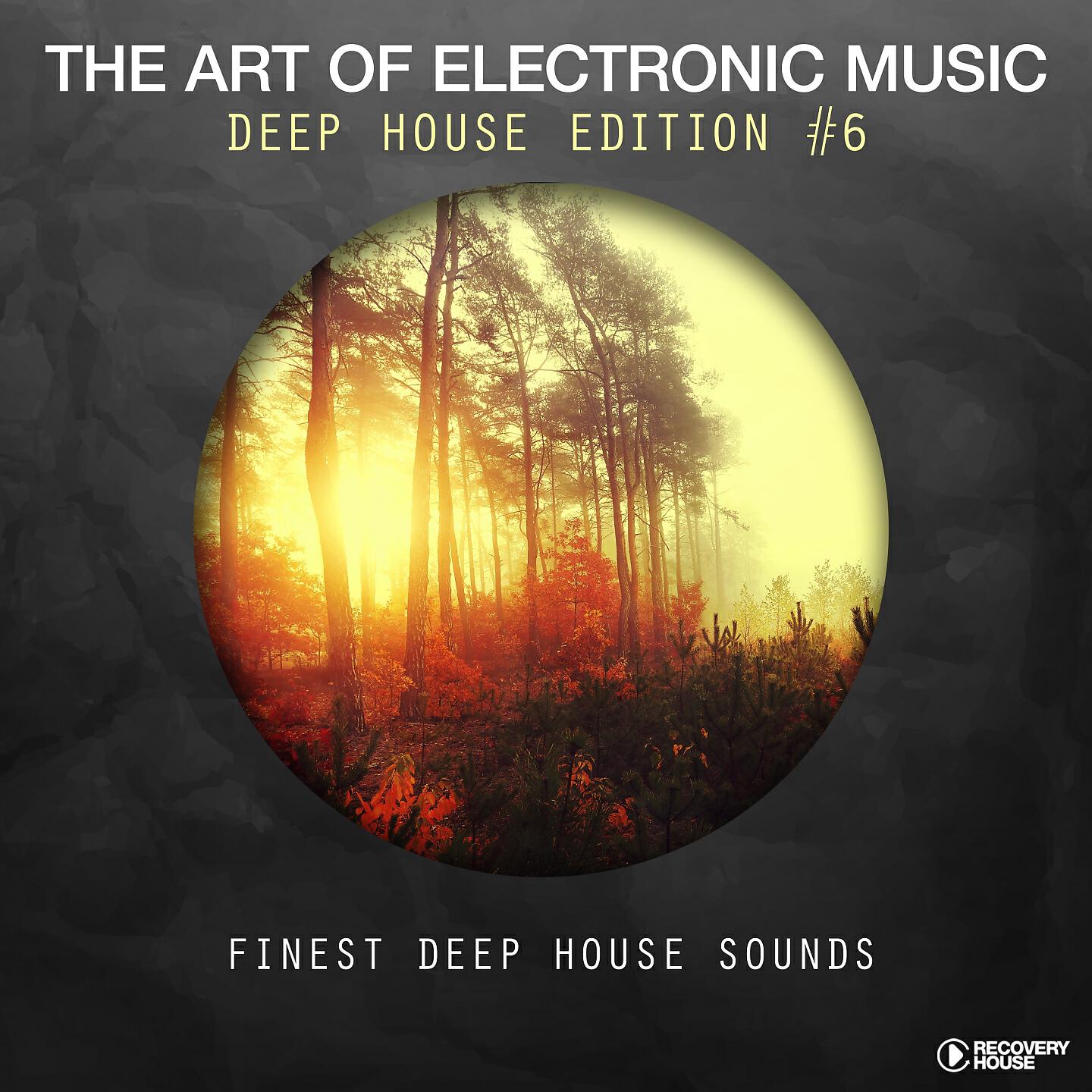Релиз The Art Of Electronic Music - Deep House Edition, Vol. 6