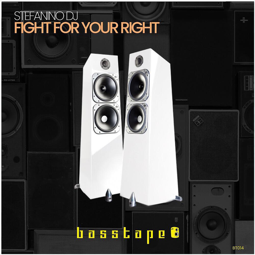 Релиз Fight for Your Right